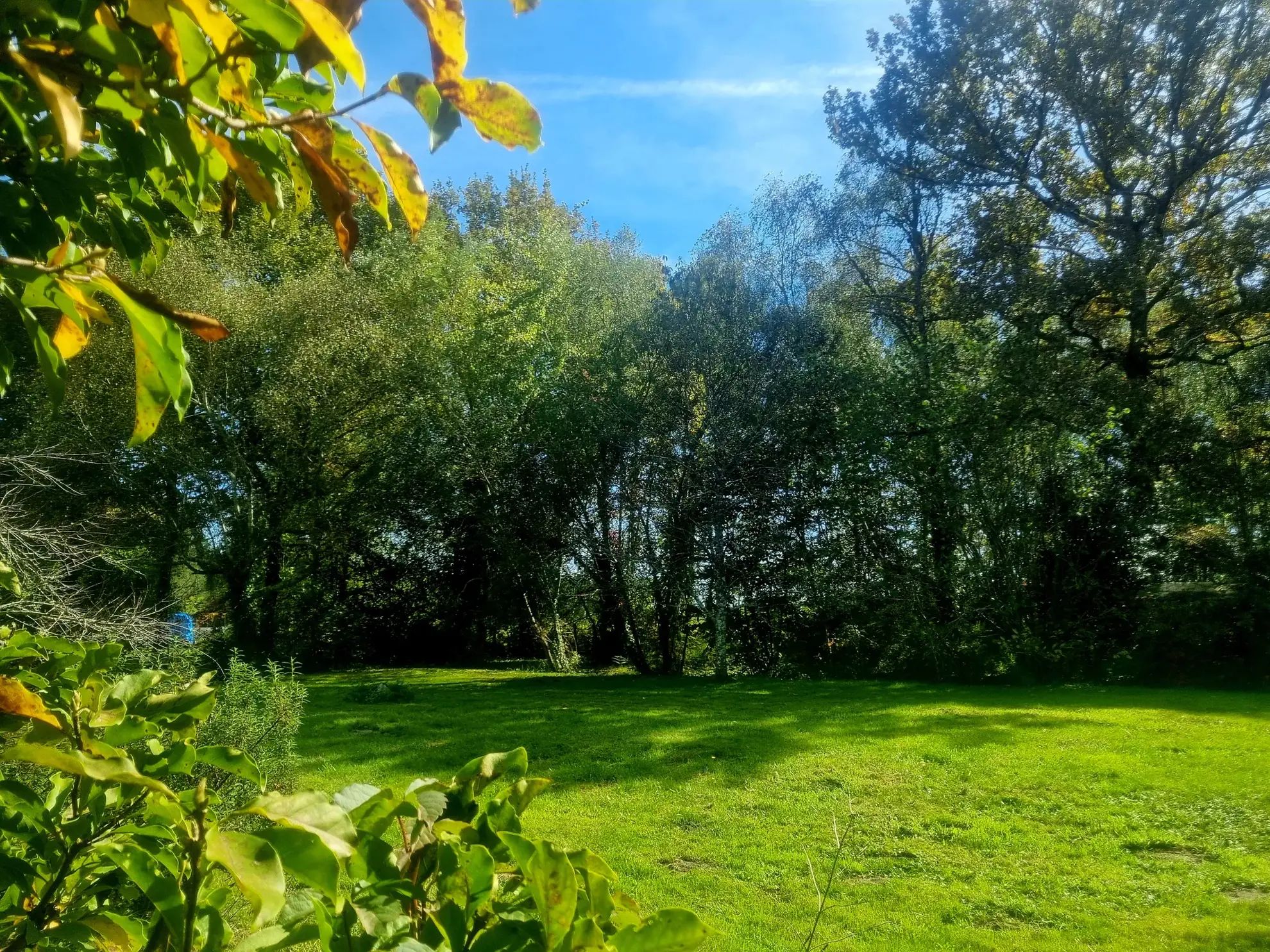 Maison en pierre avec grand jardin à Bazas – Charmante propriété en pierre de 138 m² 