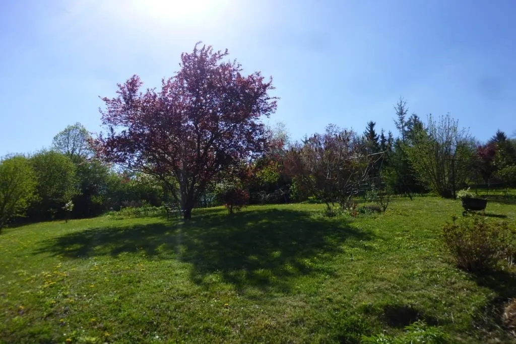 Maison familiale à vendre à Tonnerre avec jardin de 995 m² - 110 m² 