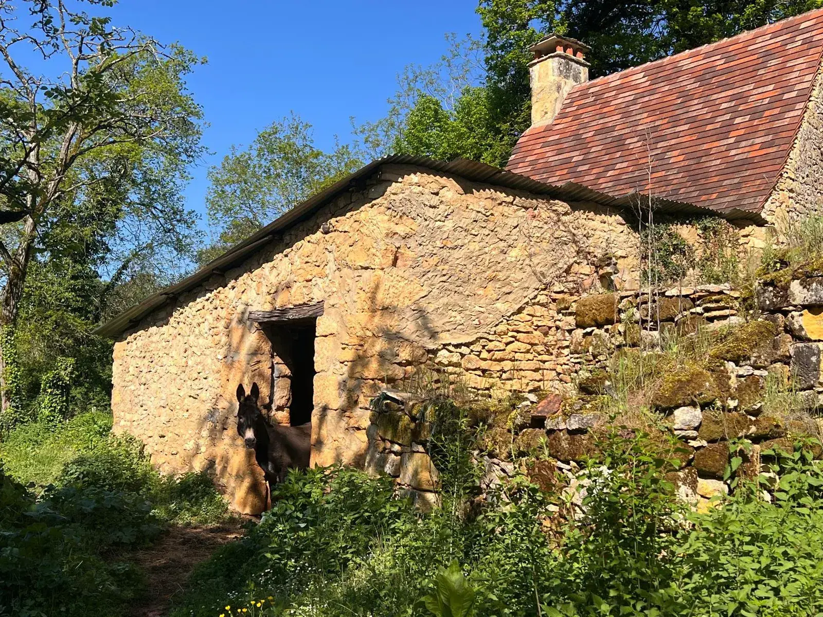 Corps de ferme à rénover près de Sarlat en Dordogne – Potentiel 180 m² 