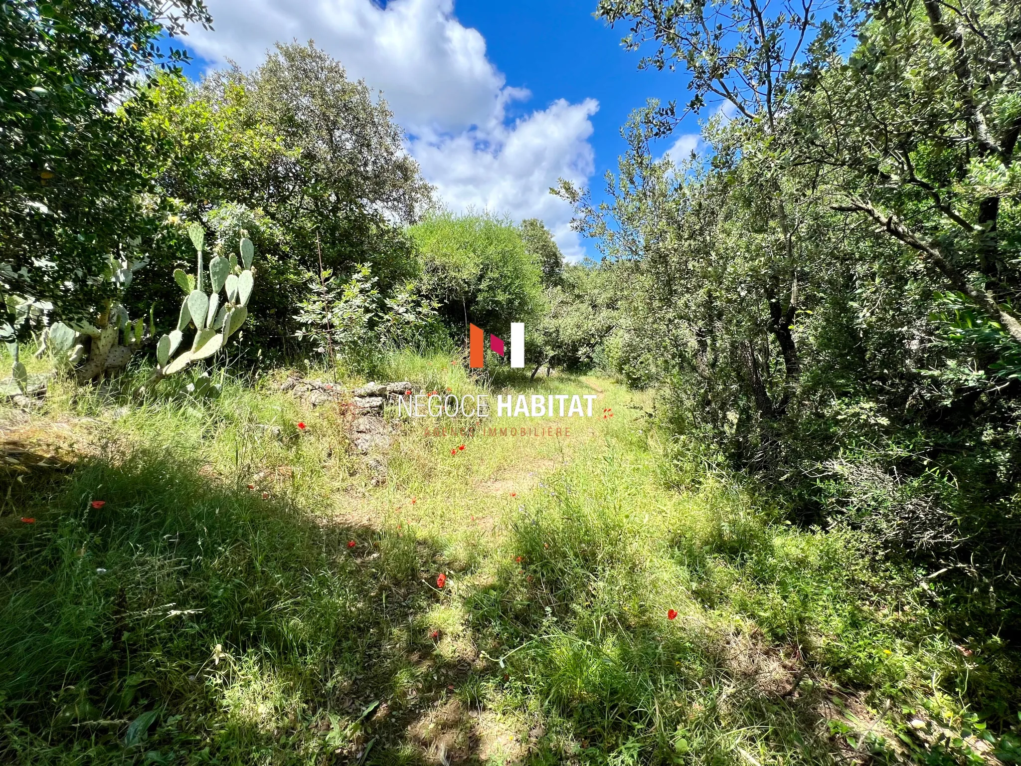 Terrain à bâtir de 800 m² à Boisseron, calme et résidentiel