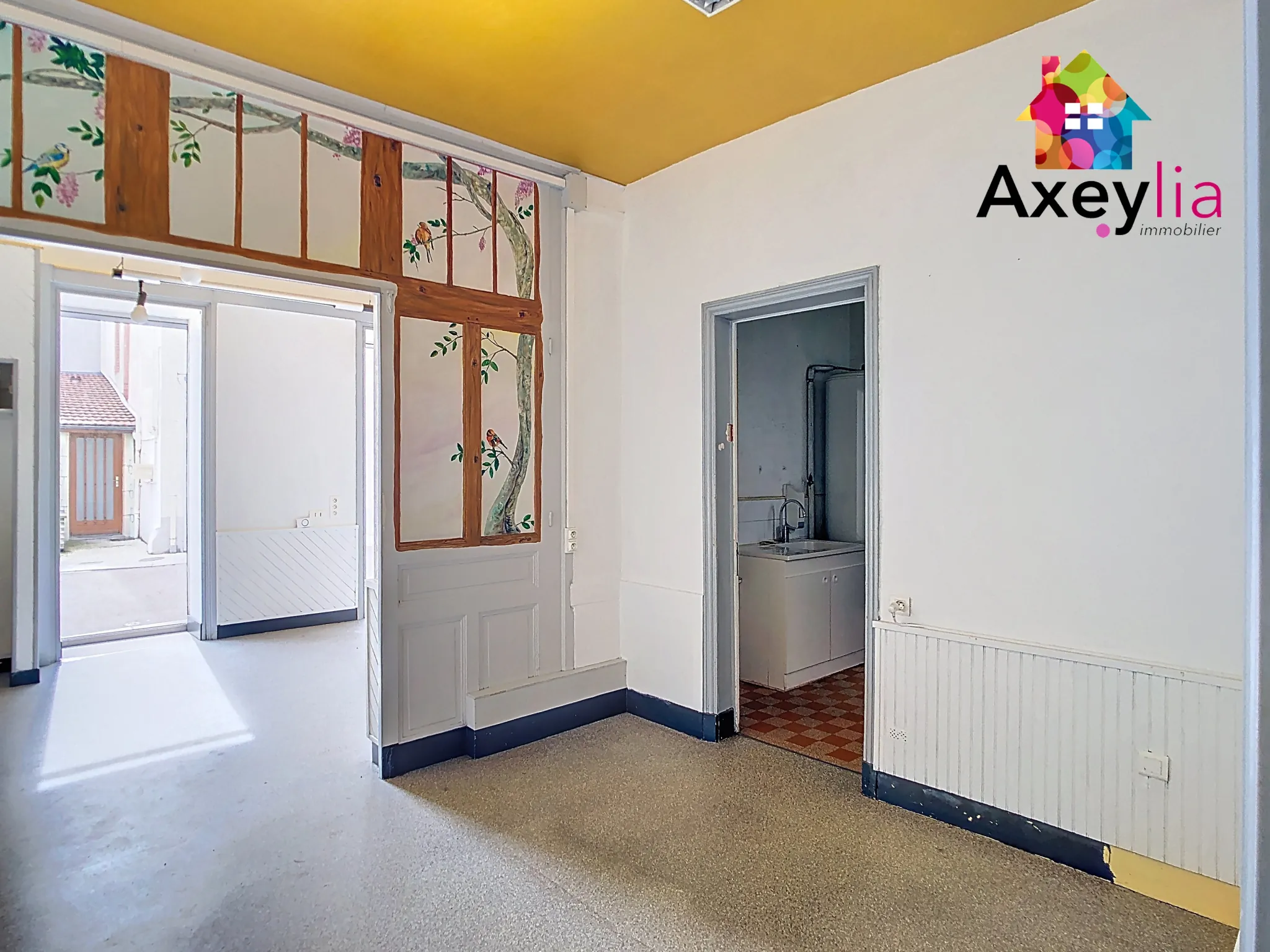 Immeuble ancien avec locaux commerciaux et appartements à Renaison proche Roanne 