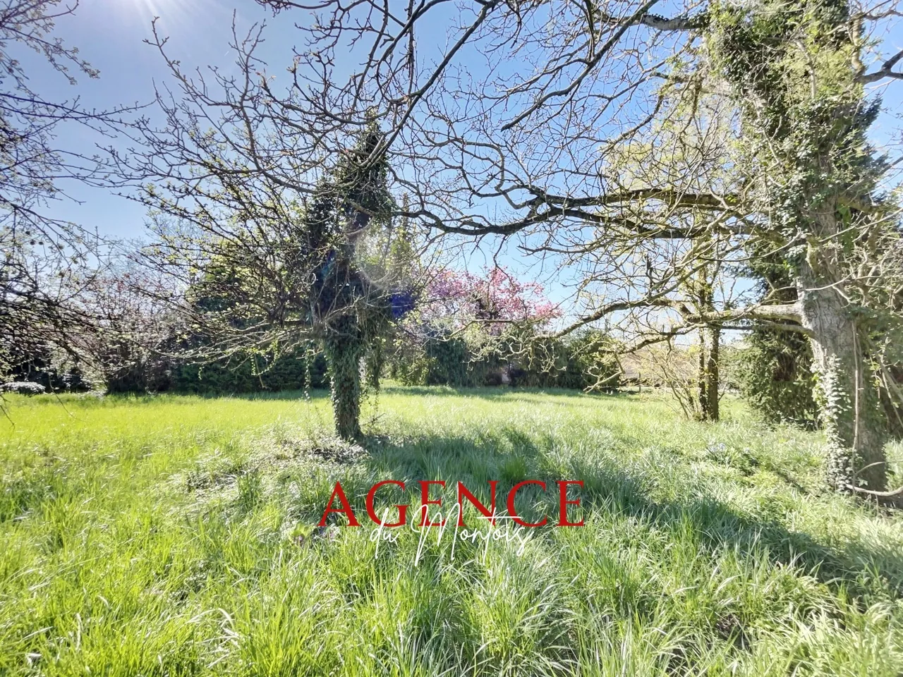 Terrain constructible de 1225 m² à Bray-sur-Seine, proche gare et commodités