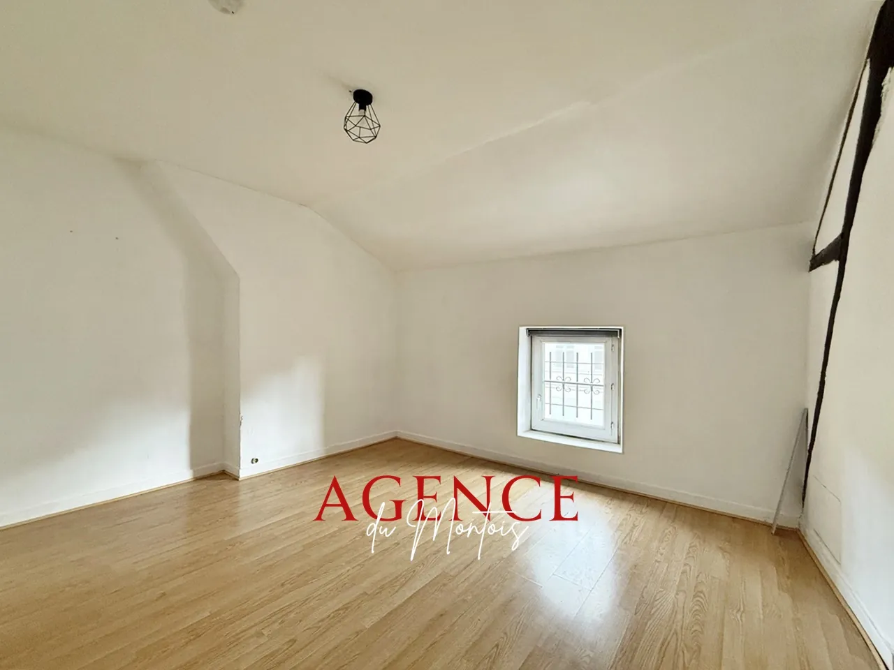 Maison à vendre à Donnemarie-Dontilly avec jardin et garage - Belle opportunité 