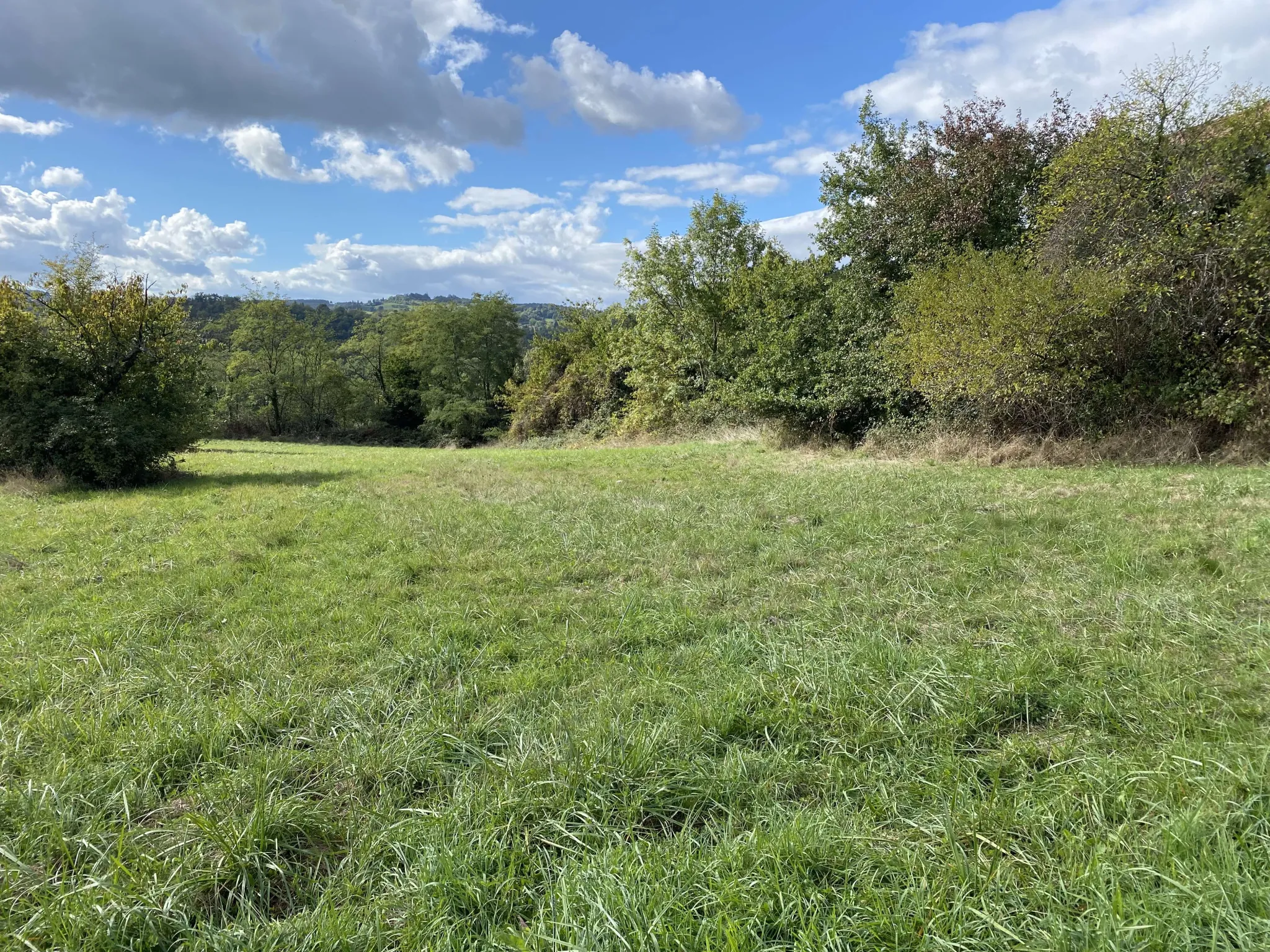 Terrain constructible de 3 571 m² à Vienne, secteur Reglane, livraison immédiate