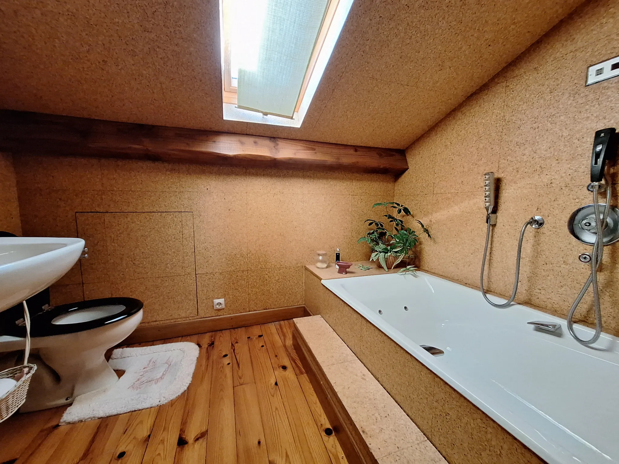 Villa avec vue montagne, sous-sol complet et jardin à Pont de l'Arn 