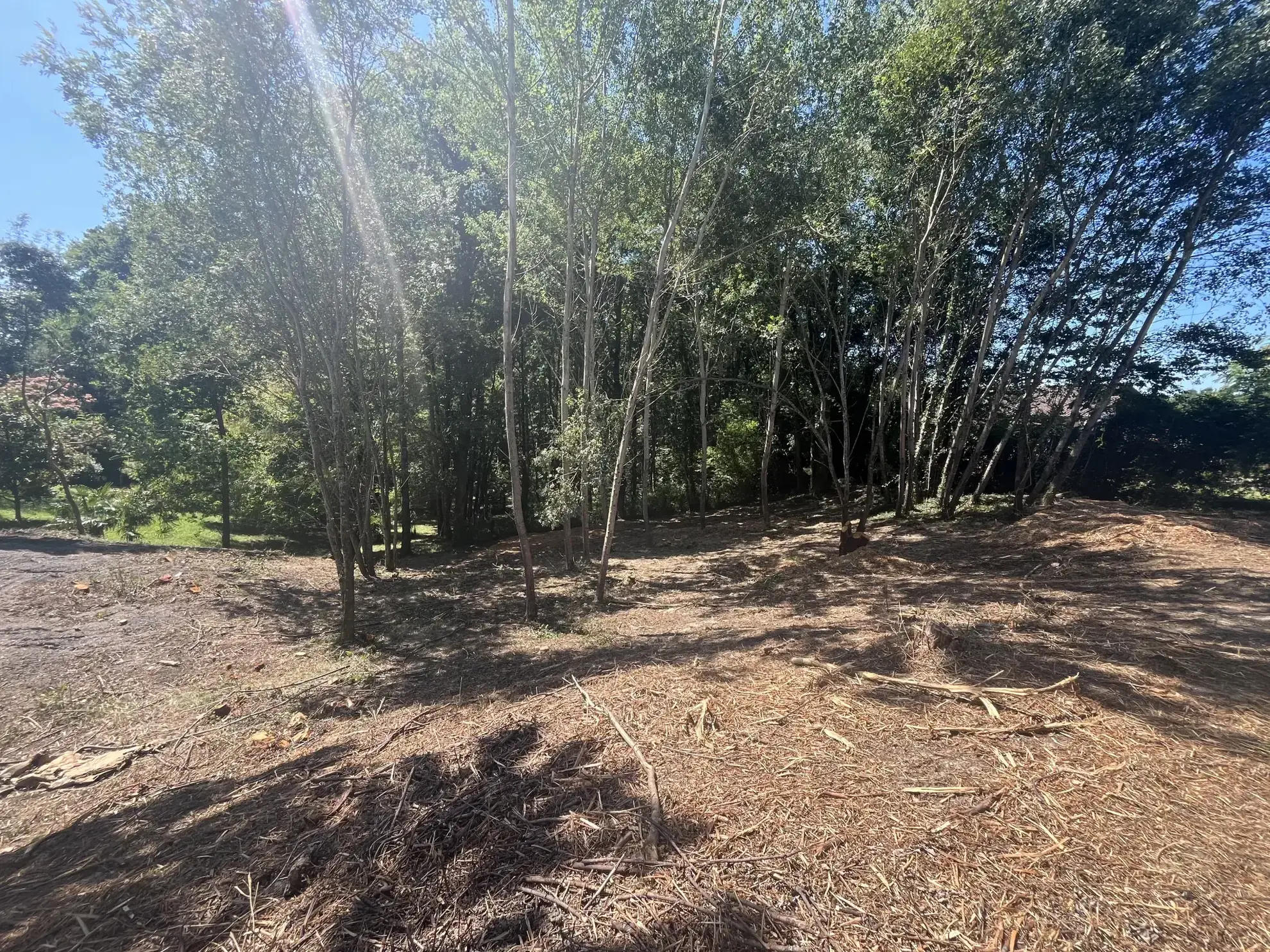 Terrain à bâtir à Urcuit avec 455 m² constructibles, environnement naturel et raccordements facilitants 