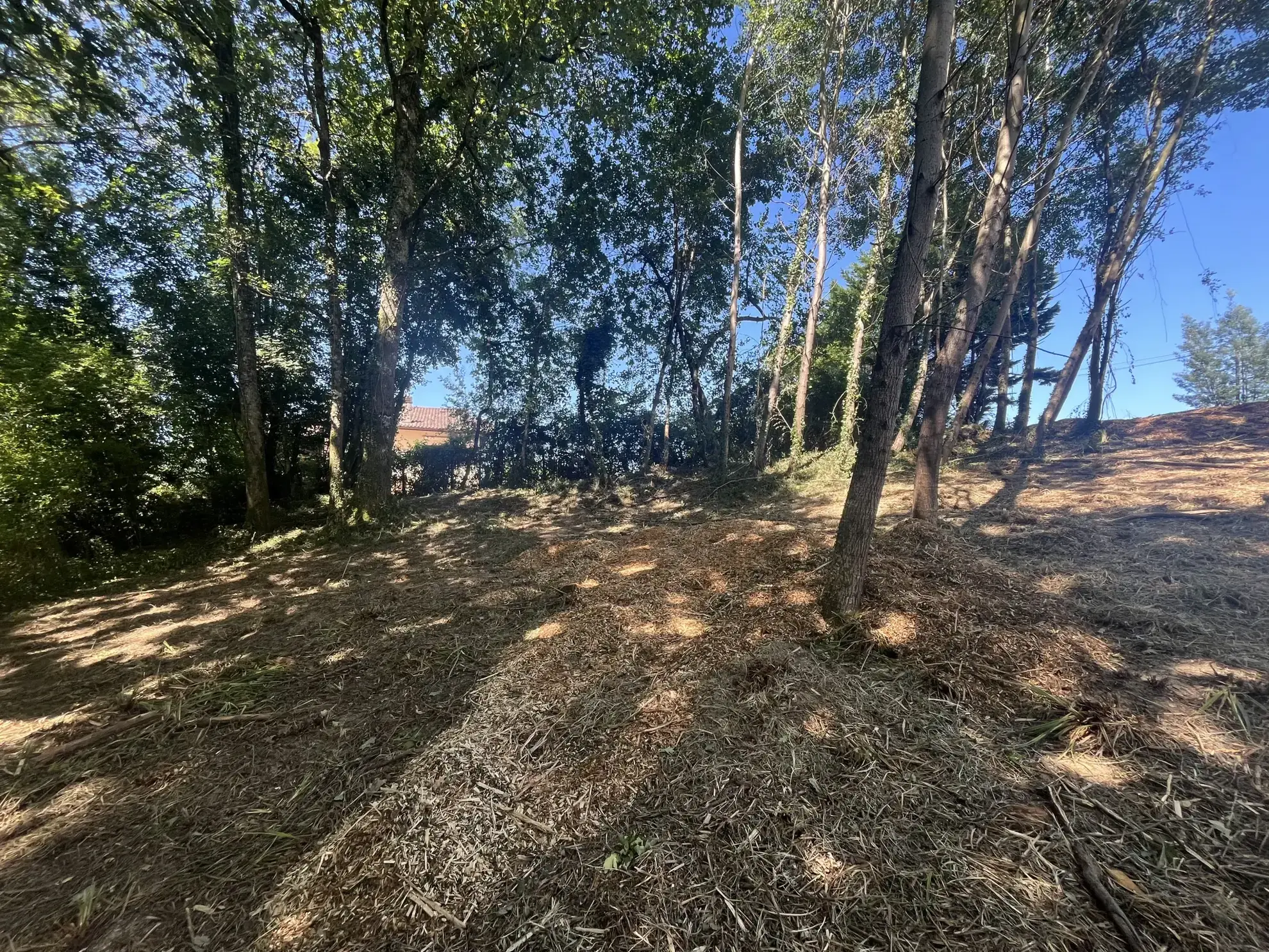 Terrain à bâtir à Urcuit avec 455 m² constructibles, environnement naturel et raccordements facilitants 