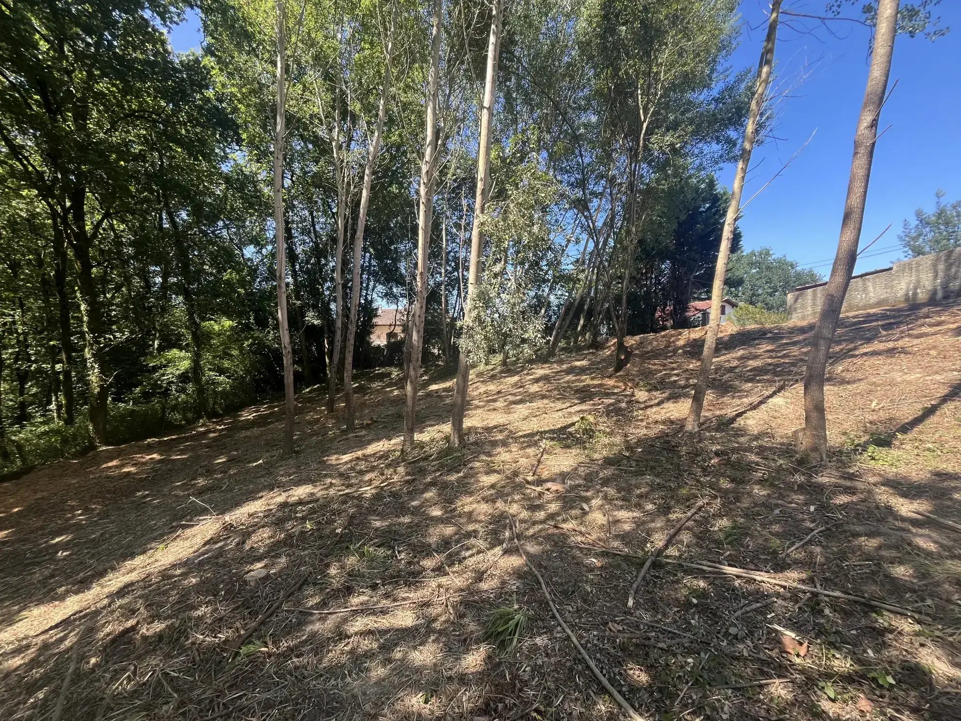 Terrain à bâtir à Urcuit avec 455 m² constructibles, environnement naturel et raccordements facilitants 