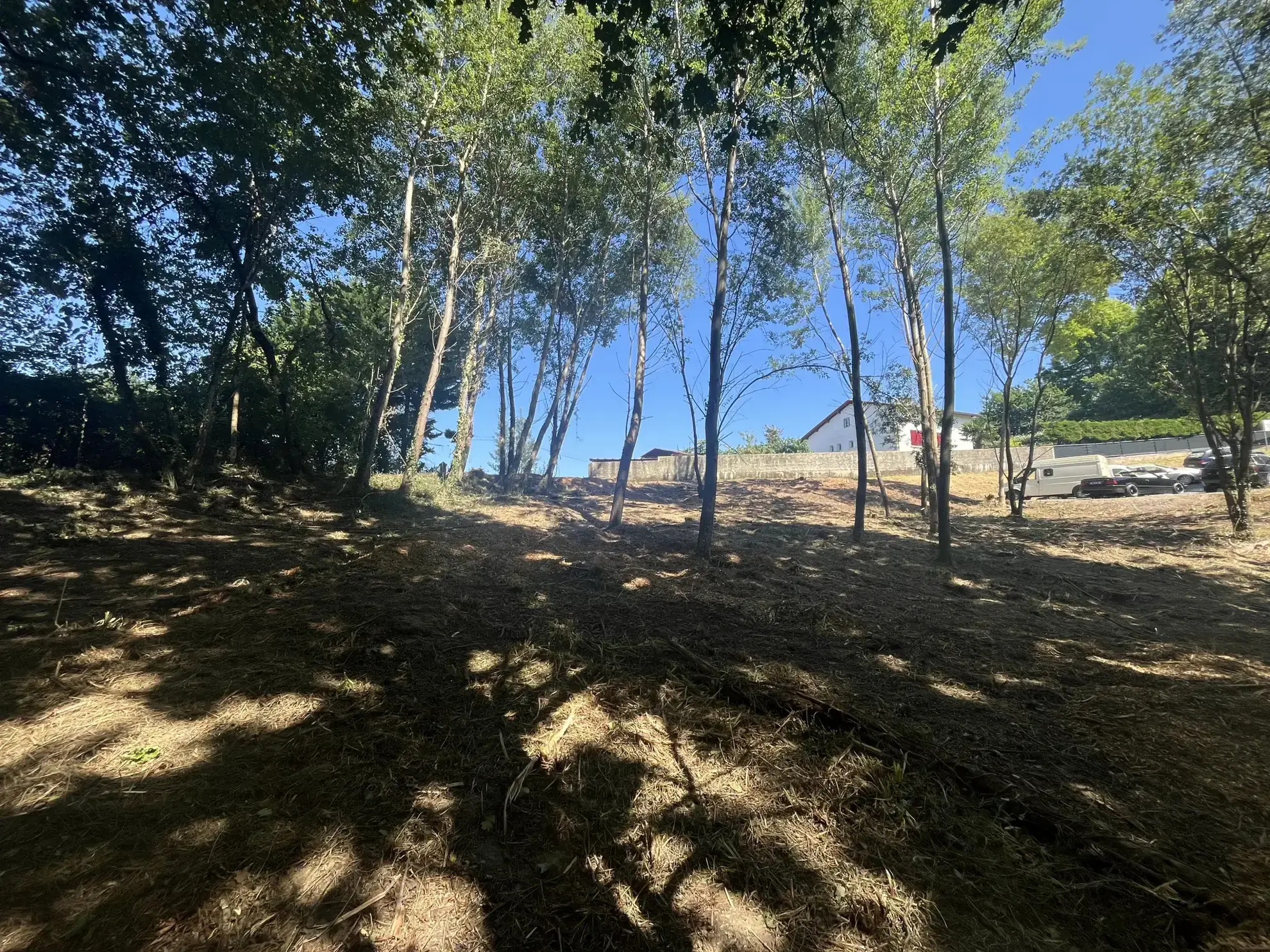 Terrain à bâtir à Urcuit avec 455 m² constructibles, environnement naturel et raccordements facilitants 