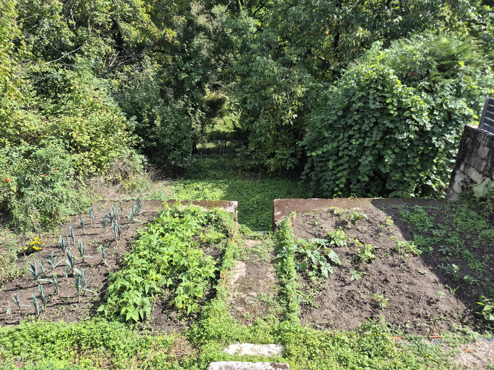 Maison de village de 82m² avec jardin et dépendances à Roches sur Marne 