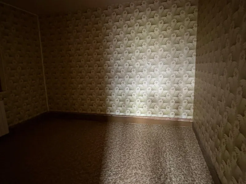 Maison indépendante avec 4 chambres, jardin et garage à Imphy proche de Nevers 