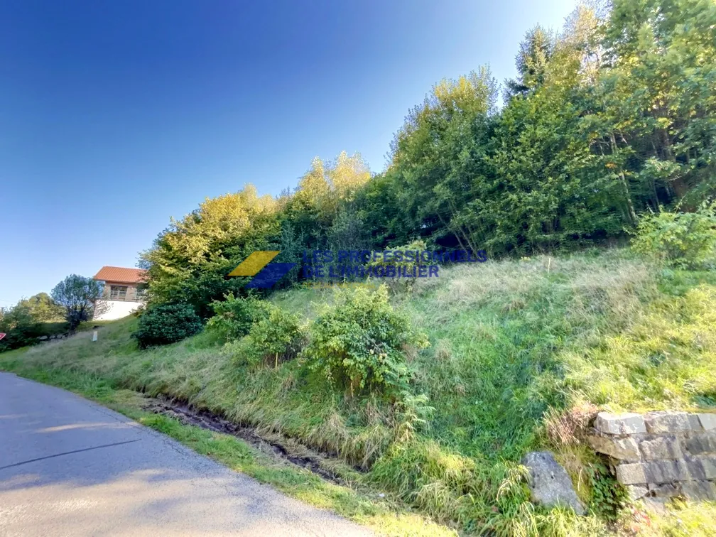 Vente d’un grand terrain constructible à Gérardmer, secteur Beillard 