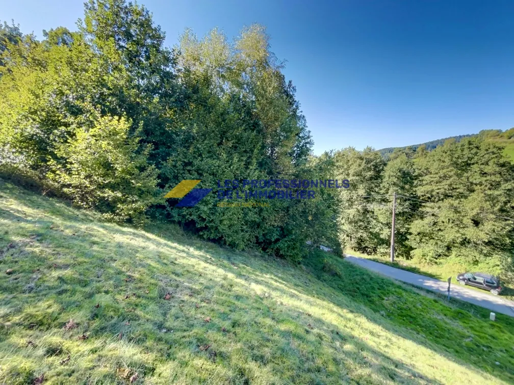 Vente d’un grand terrain constructible à Gérardmer, secteur Beillard