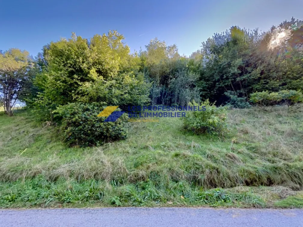 Vente d’un grand terrain constructible à Gérardmer, secteur Beillard 