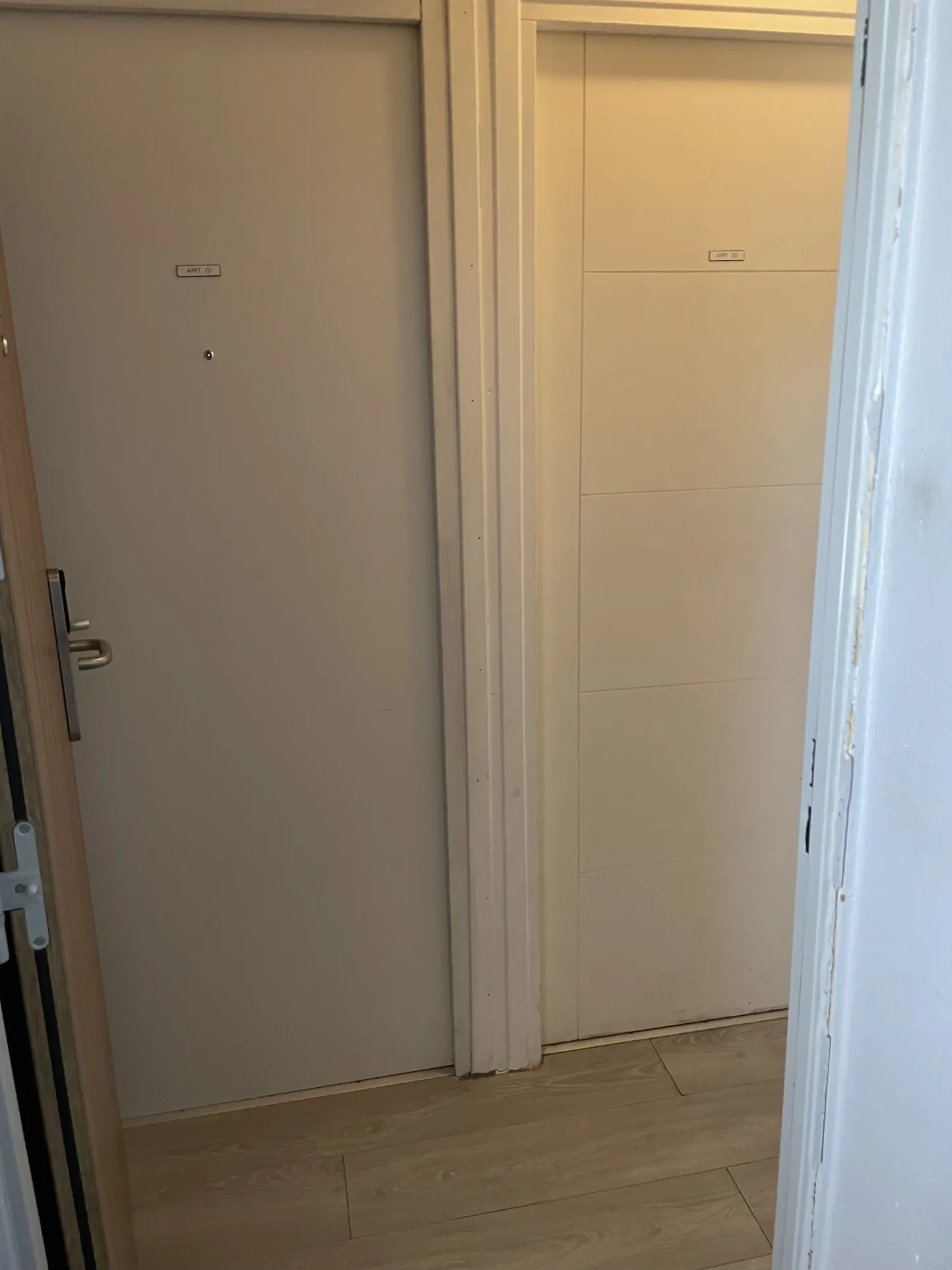 Appartement T4 à Dijon proche Gare et Arquebuse avec deux logements meublés 