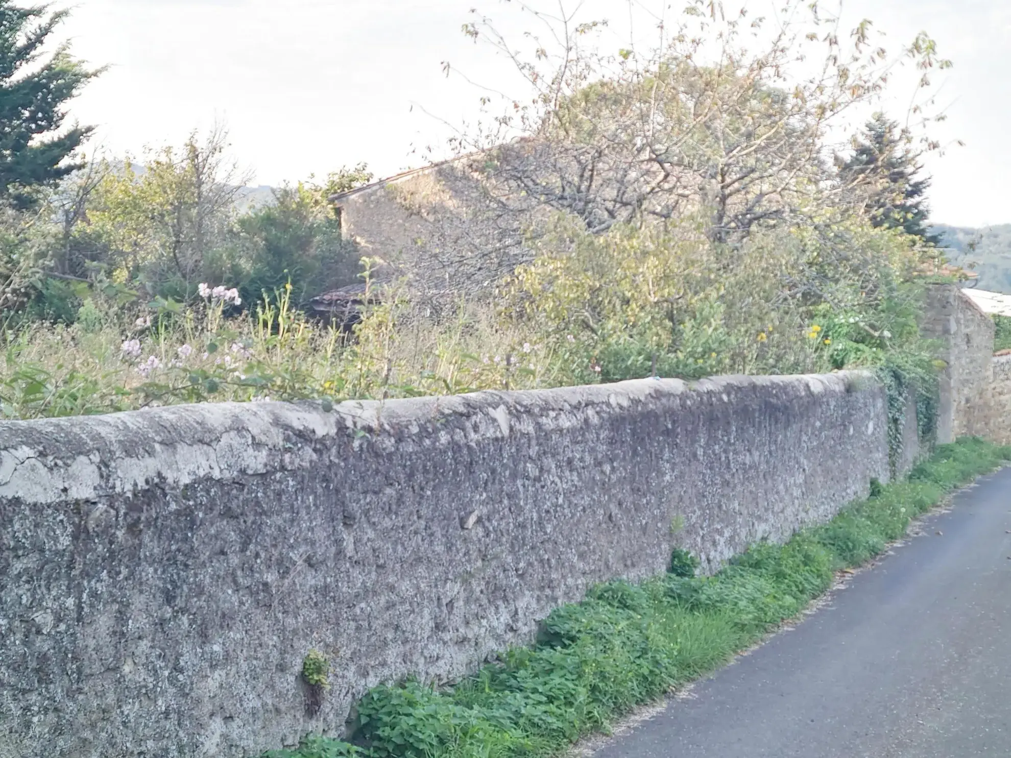 Terrain constructible de 7543 m² avec vue panoramique à BANSAT 