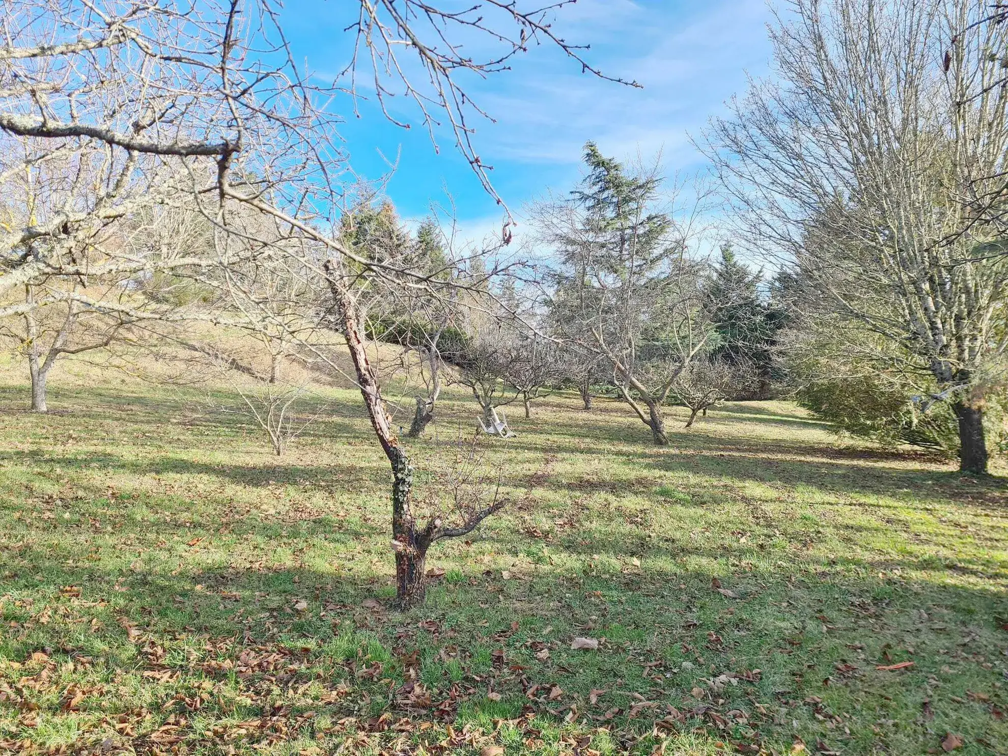 Terrain constructible de 7543 m² avec vue panoramique à BANSAT 