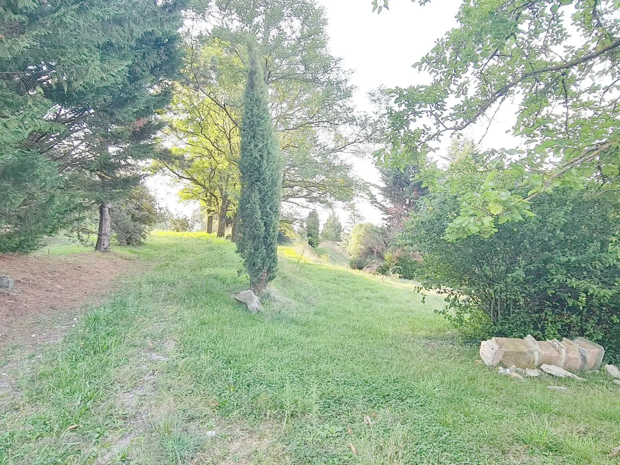 Terrain constructible de 7543 m² avec vue panoramique à BANSAT