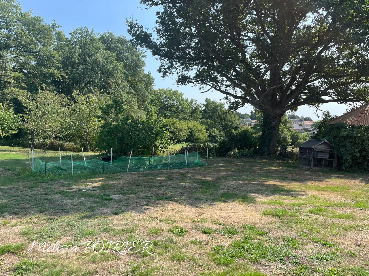 Maison de plain-pied avec 3 chambres et grand terrain à Mortagne-sur-Sèvre 