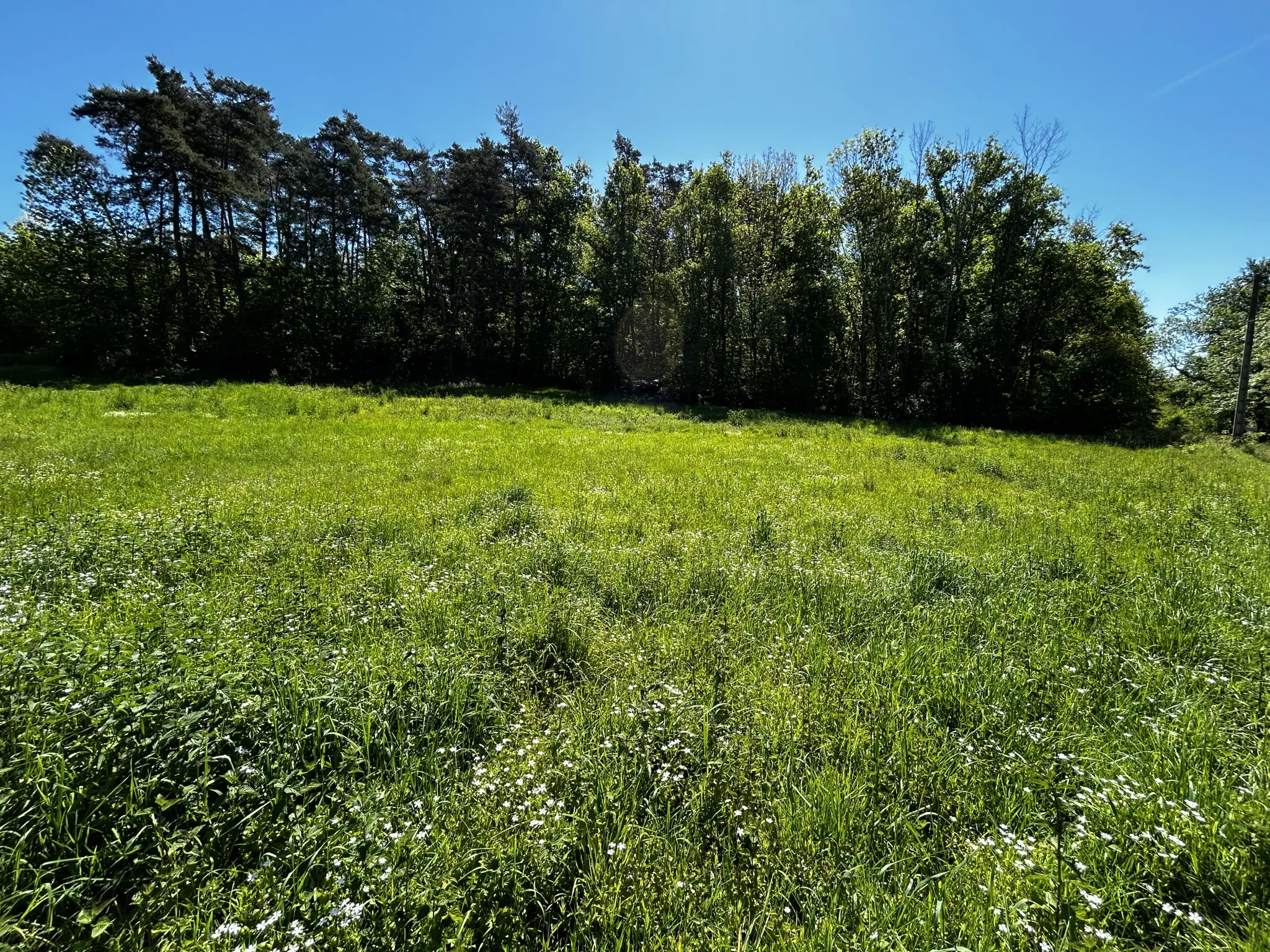 Terrain constructible de 2300 m² à Paslières, proche Puy-Guillaume