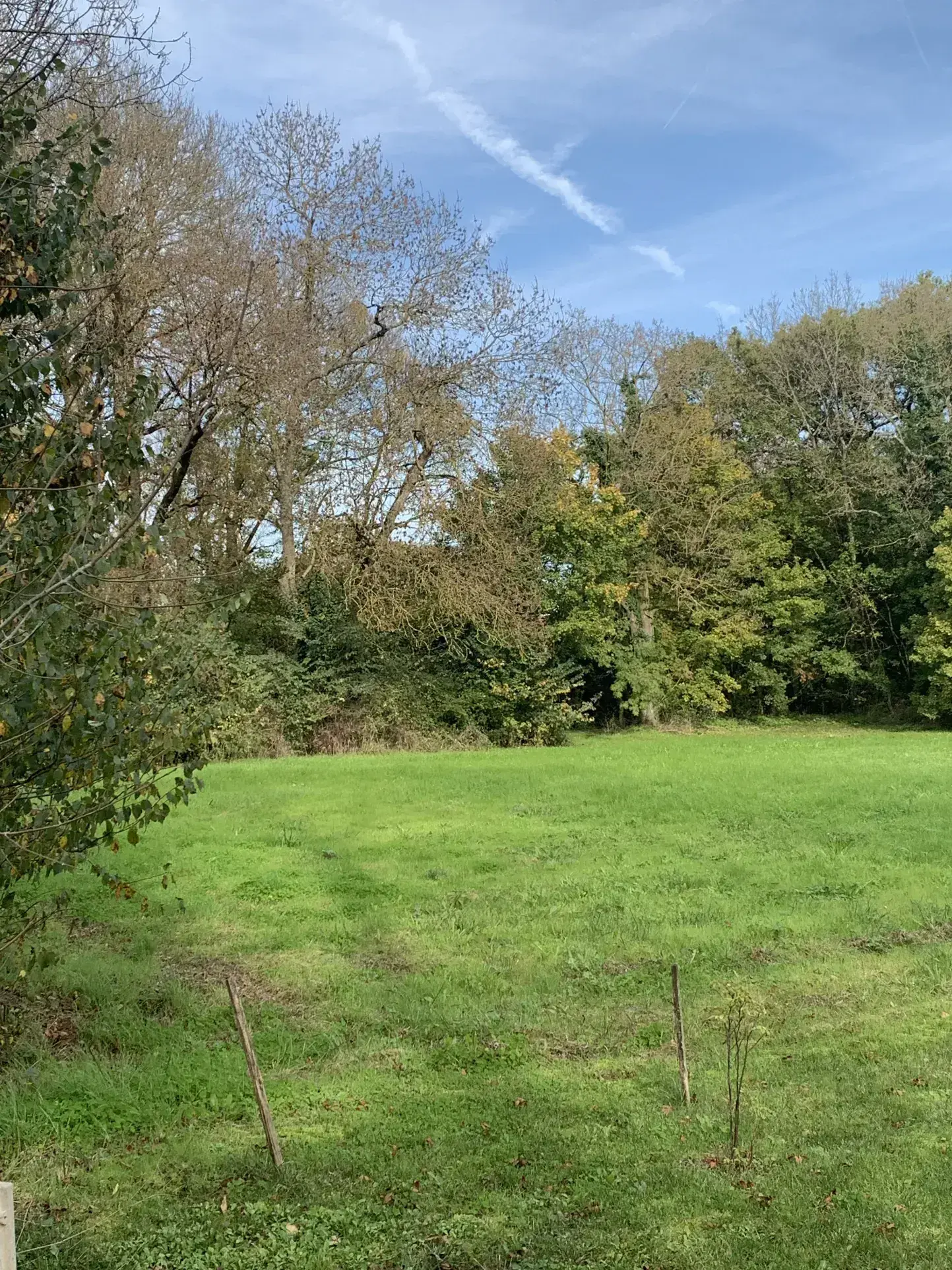 Terrain à bâtir de 1684 m² à Mons (17160) - Non viabilisé 