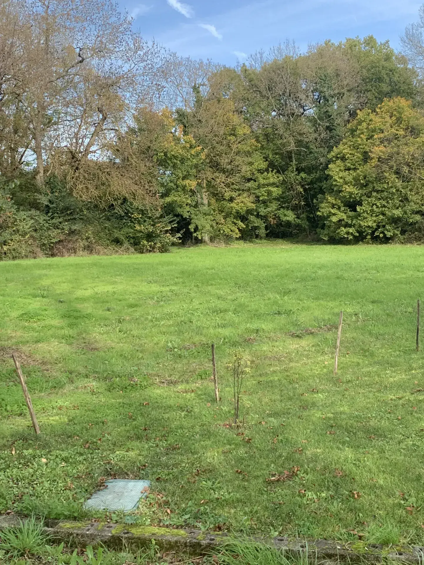 Terrain à bâtir de 1684 m² à Mons (17160) - Non viabilisé