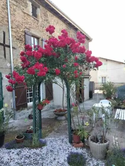 Charmante maison de village avec grand jardin en Charente