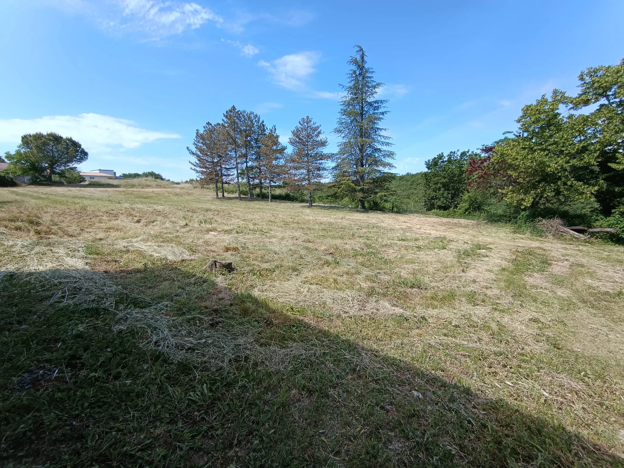 Terrain constructible à Lavilledieu de 6 385 m² avec permis validé en 2024 