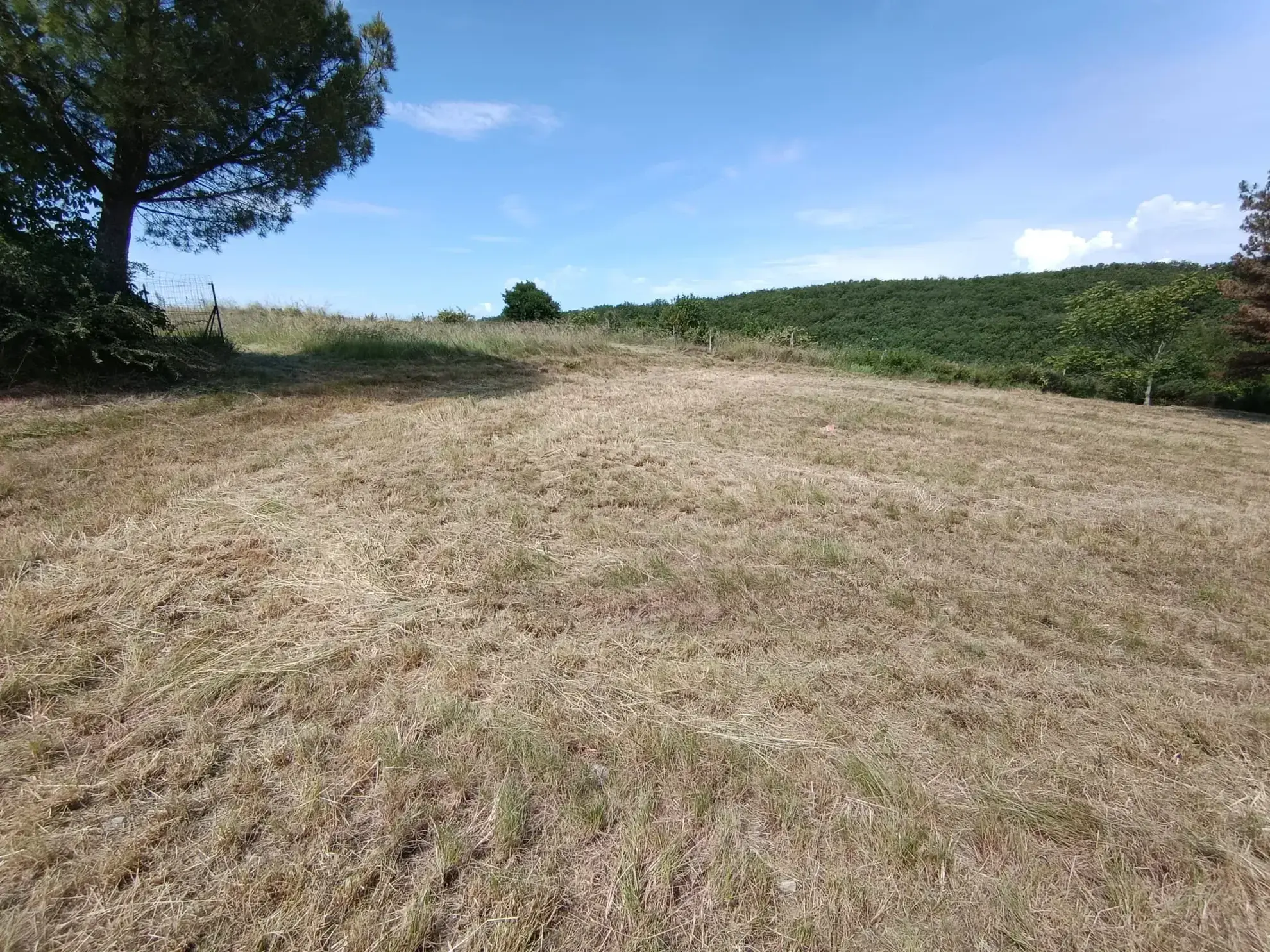 Terrain constructible à Lavilledieu de 6 385 m² avec permis validé en 2024 