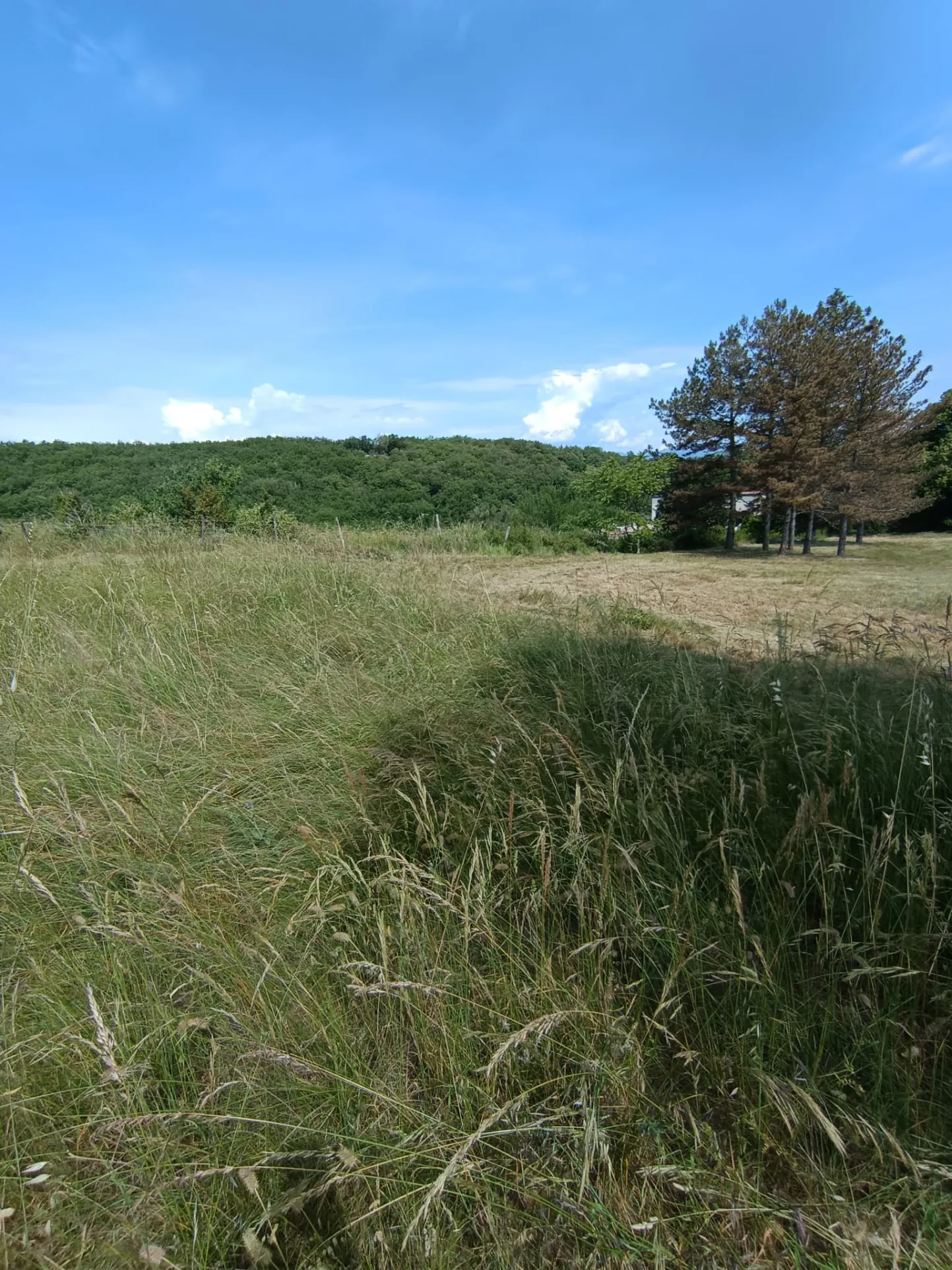 Terrain constructible à Lavilledieu de 6 385 m² avec permis validé en 2024 