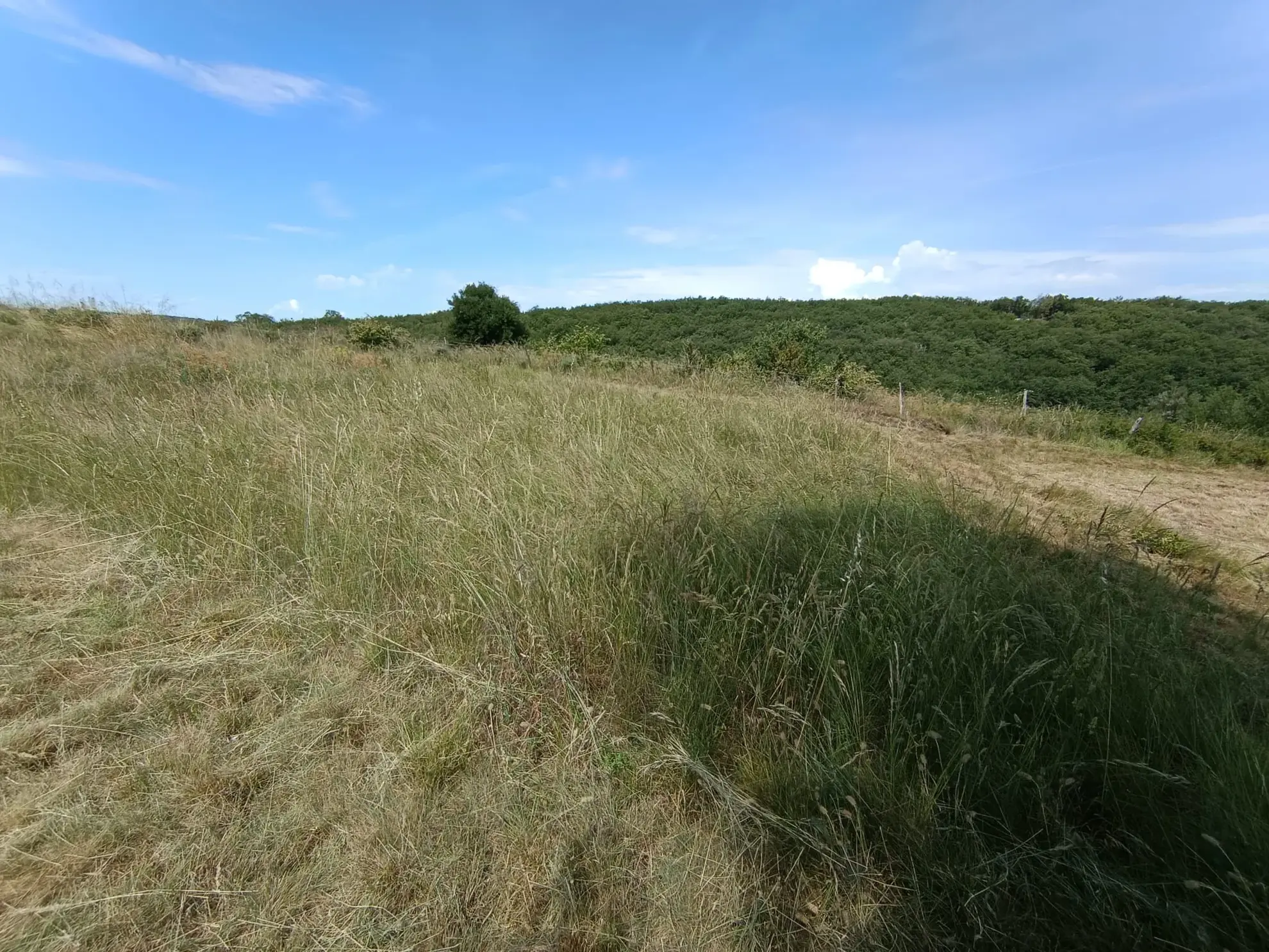 Terrain constructible à Lavilledieu de 6 385 m² avec permis validé en 2024 