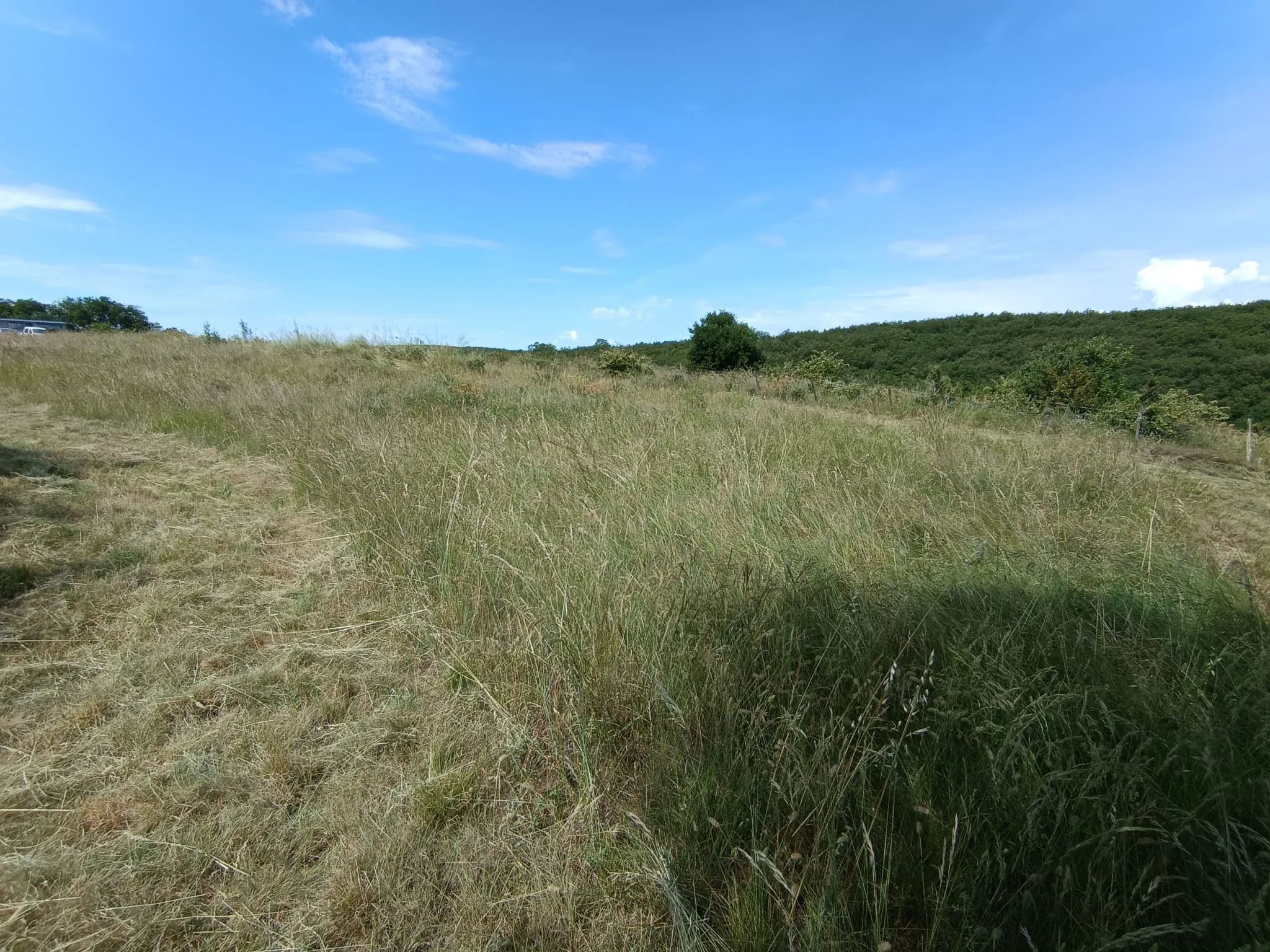 Terrain constructible à Lavilledieu de 6 385 m² avec permis validé en 2024 