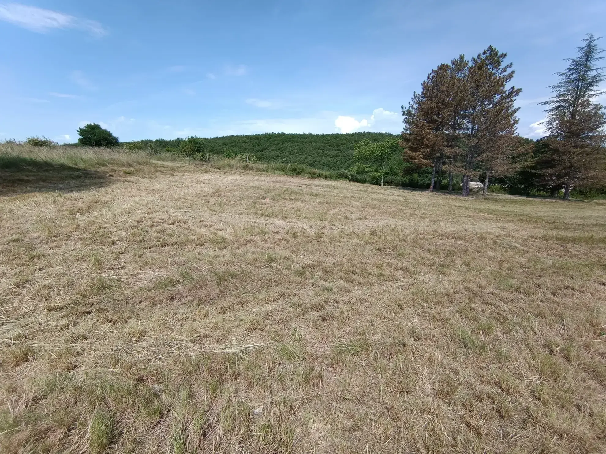 Terrain constructible à Lavilledieu de 6 385 m² avec permis validé en 2024 