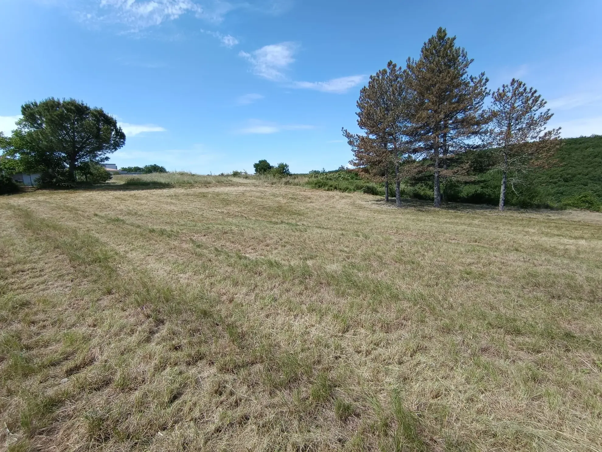 Terrain constructible à Lavilledieu de 6 385 m² avec permis validé en 2024 