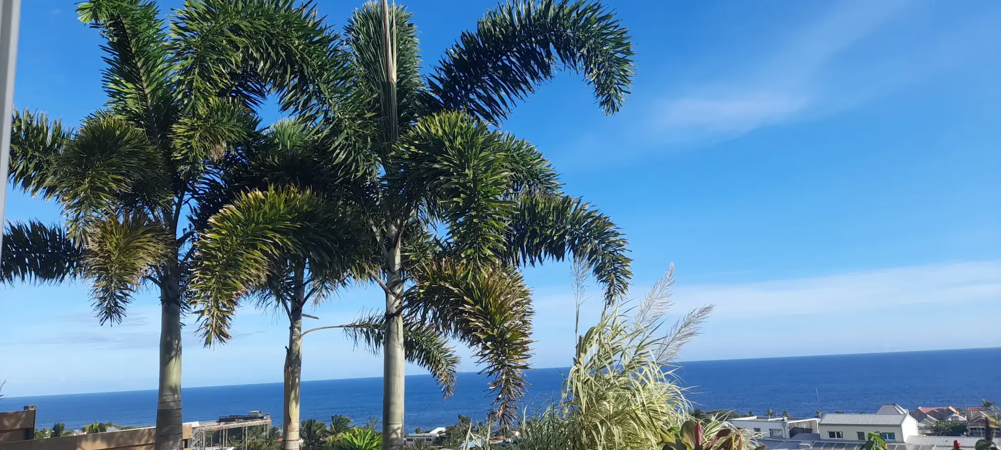 Terrain constructible de 246 m² à Saint-Pierre dans le quartier Grand Bois à 130 000 € 