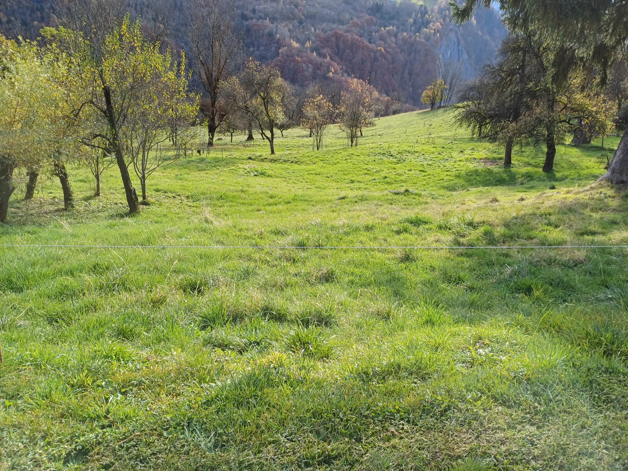 Terrain à bâtir de 667 m² à Montaimont avec vue imprenable 