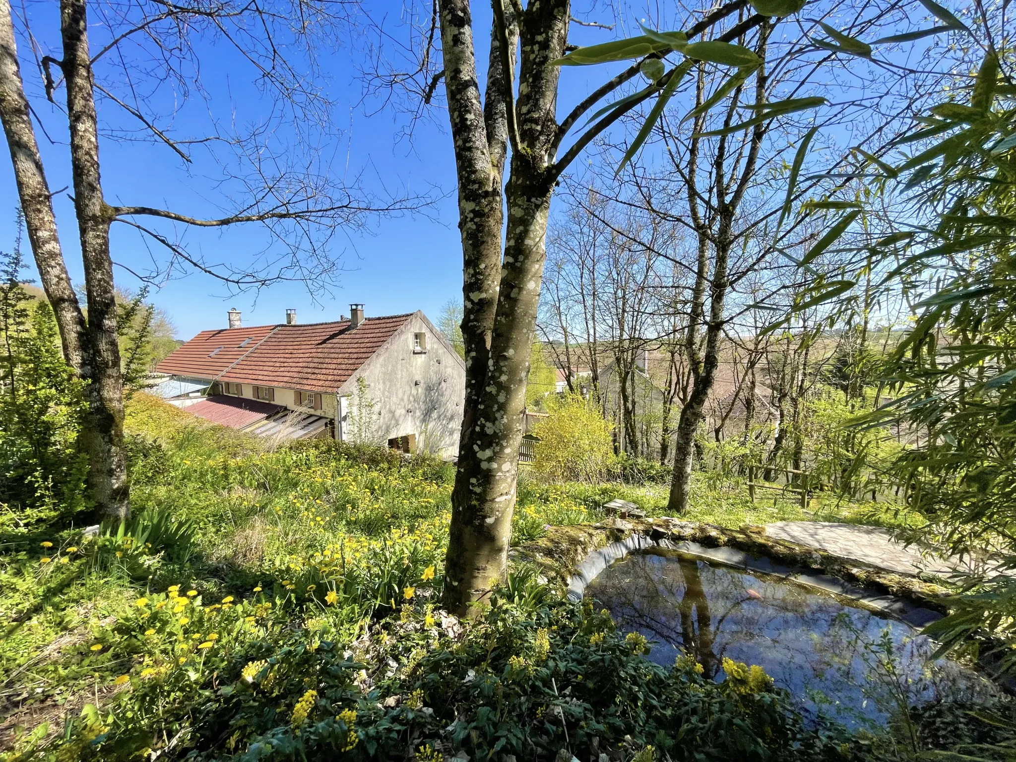 Maison de charme à Merry-Sec, proche d'Auxerre, avec terrain et potentiel d'aménagement 