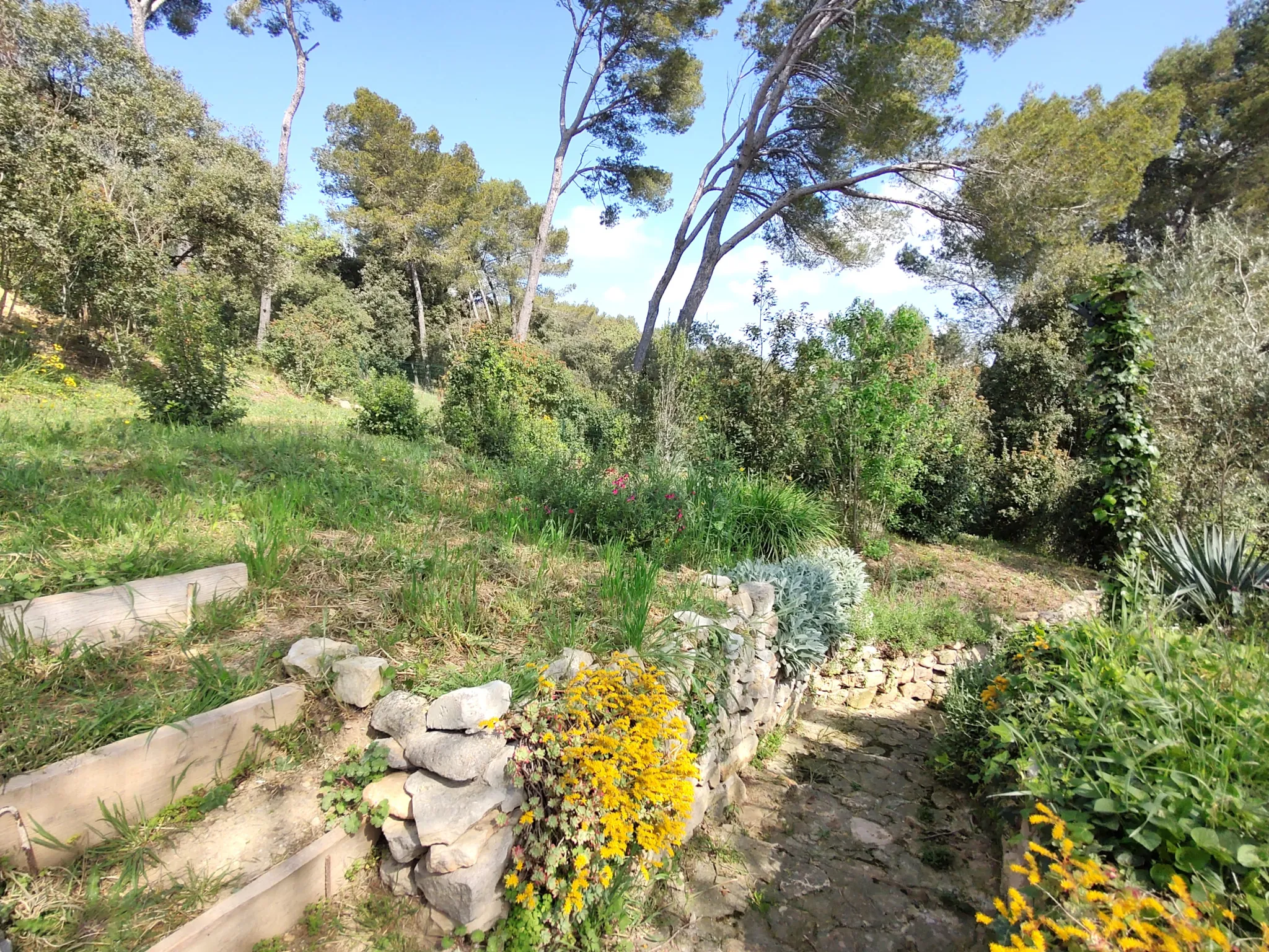Belle maison à Saint-Christol avec terrasse et vue imprenable sur la garrigue 
