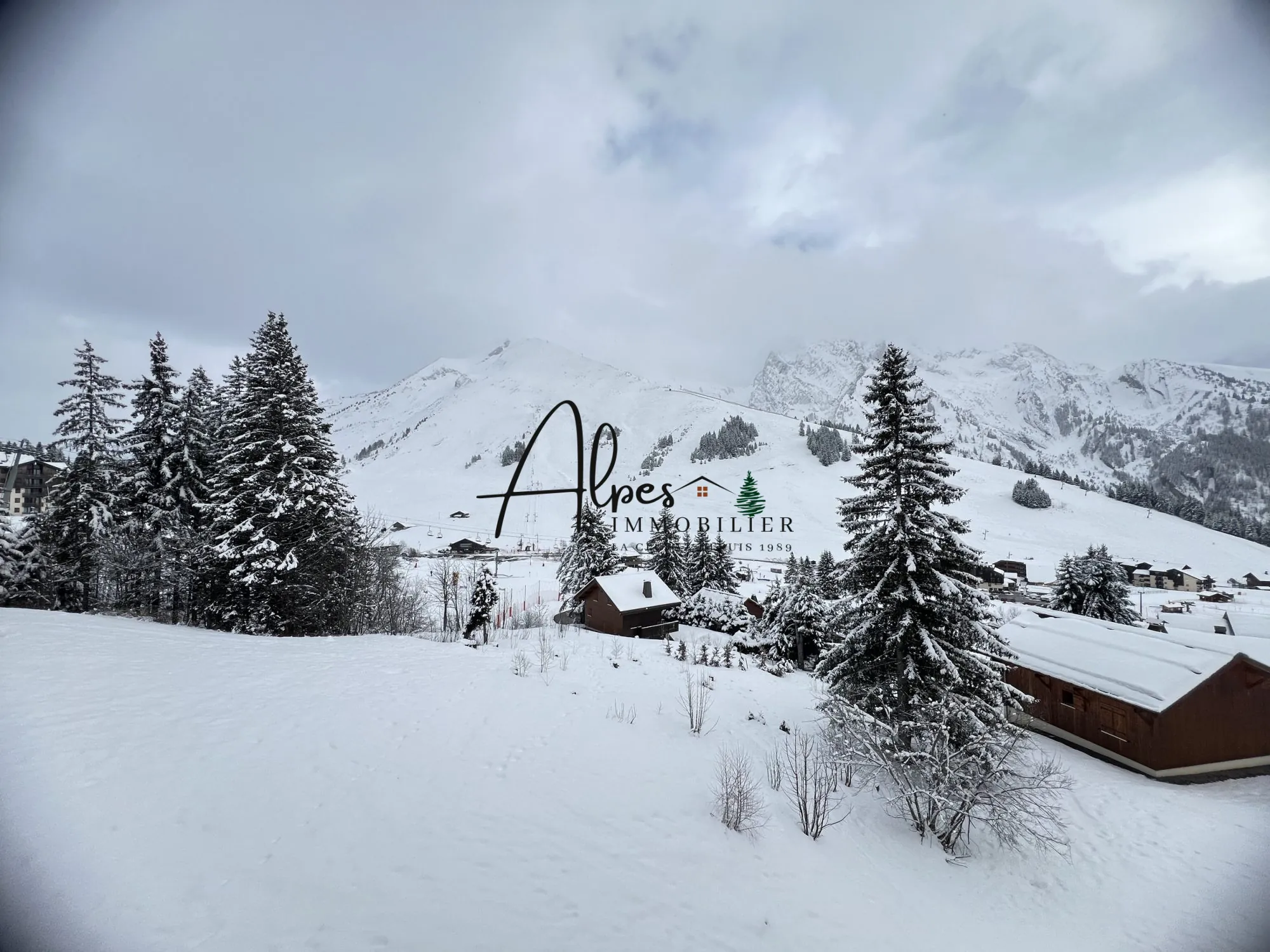 La vue depuis le balcon Appartement T2 Meublé avec Vue sur les Montagnes à Manigod 