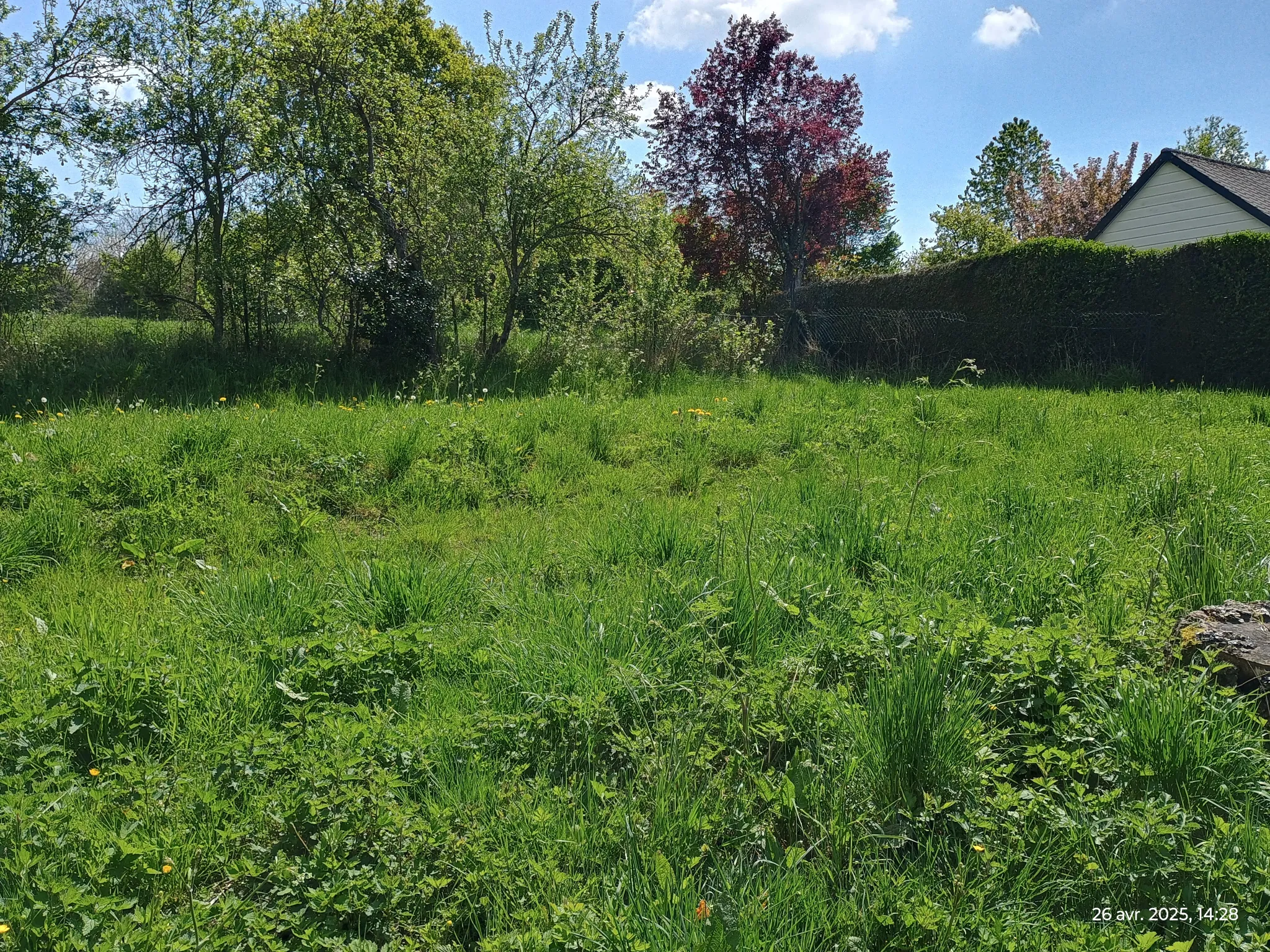 Maison de campagne rénovée avec grand terrain à Franqueville, Aisne 