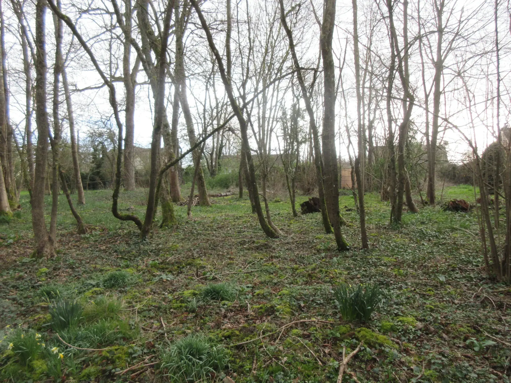 Terrain à bâtir de 3102 m² à Saint-Simeon, au calme 