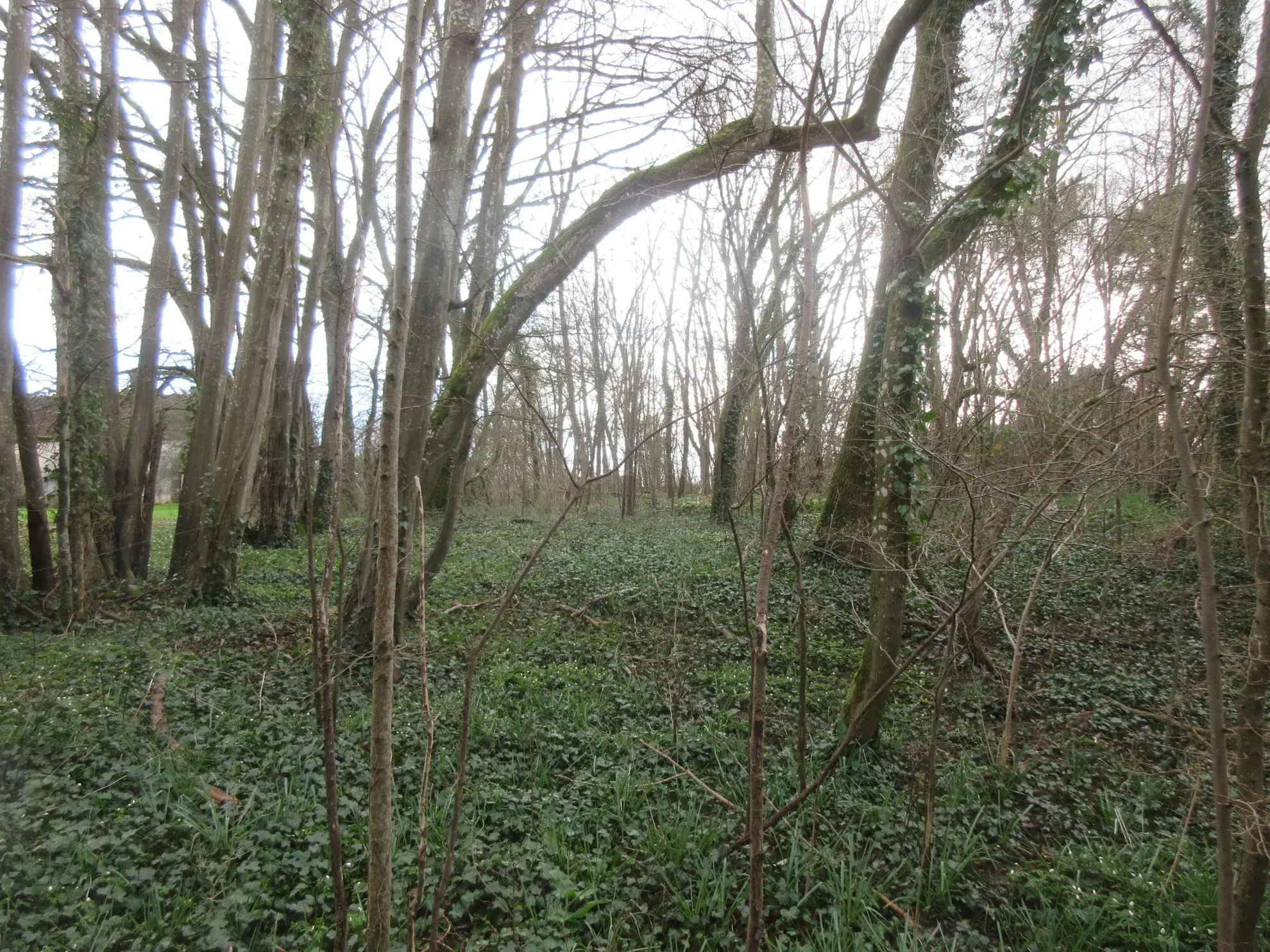 Terrain à bâtir de 3102 m² à Saint-Simeon, au calme 