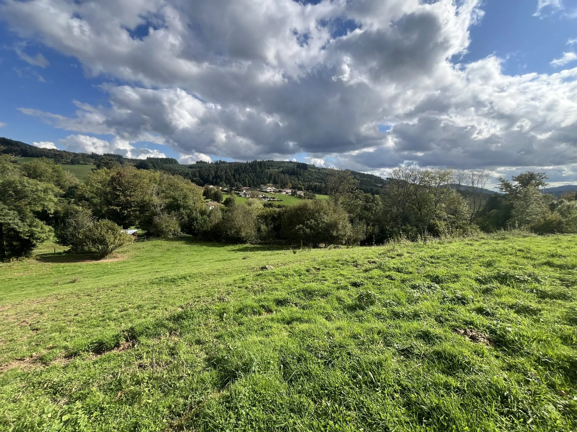 Terrain constructible de 2219 m² à Poule-les-Écharmeaux - Vue dégagée et environnement calme