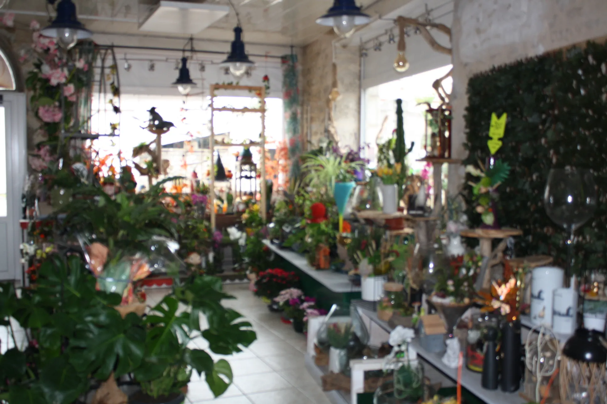 Fonds de commerce fleuriste à Chalindrey – Emplacement passants, clientèle fidèle et rentabilité assurée 