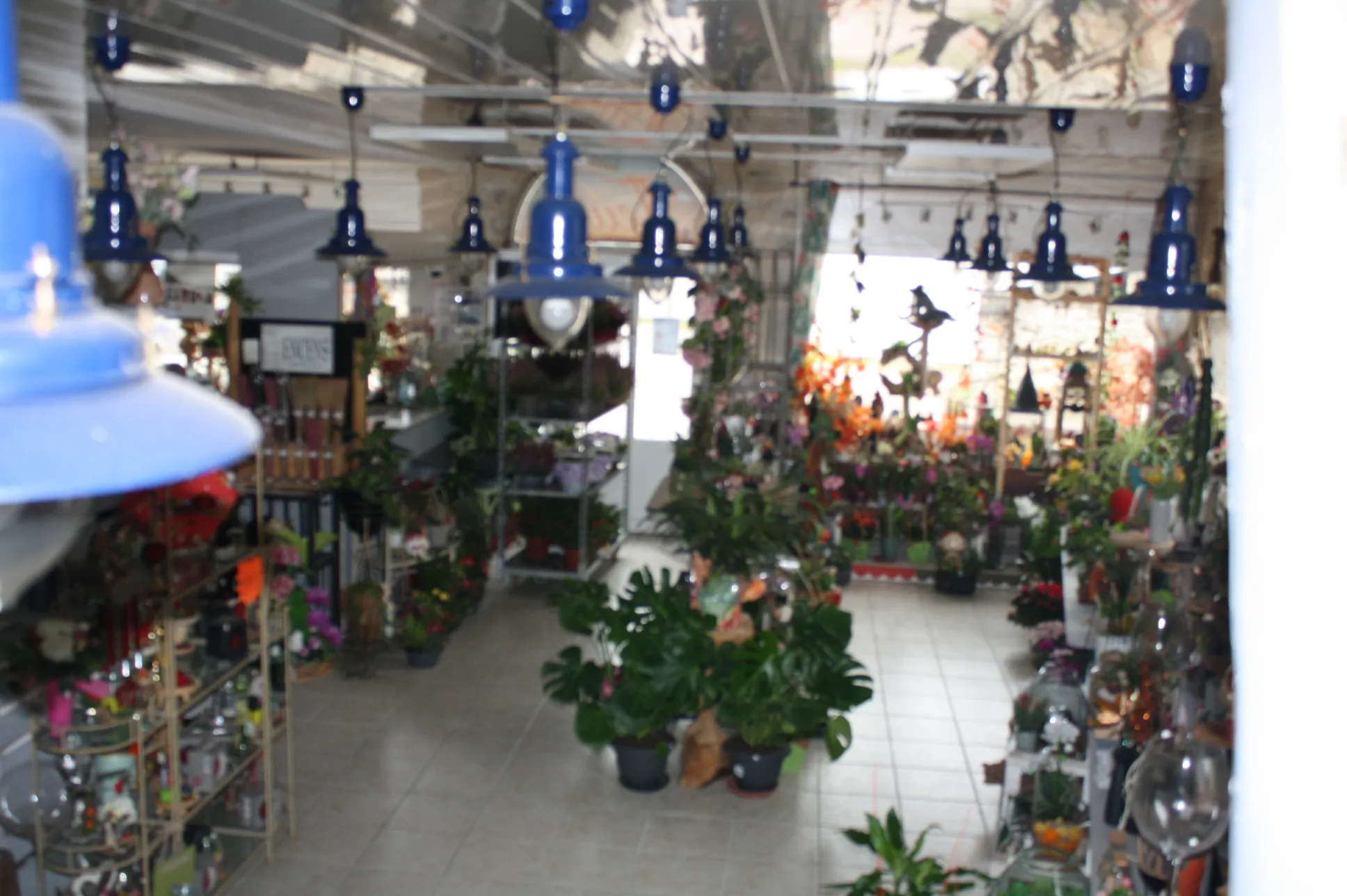 Fonds de commerce fleuriste à Chalindrey – Emplacement passants, clientèle fidèle et rentabilité assurée 