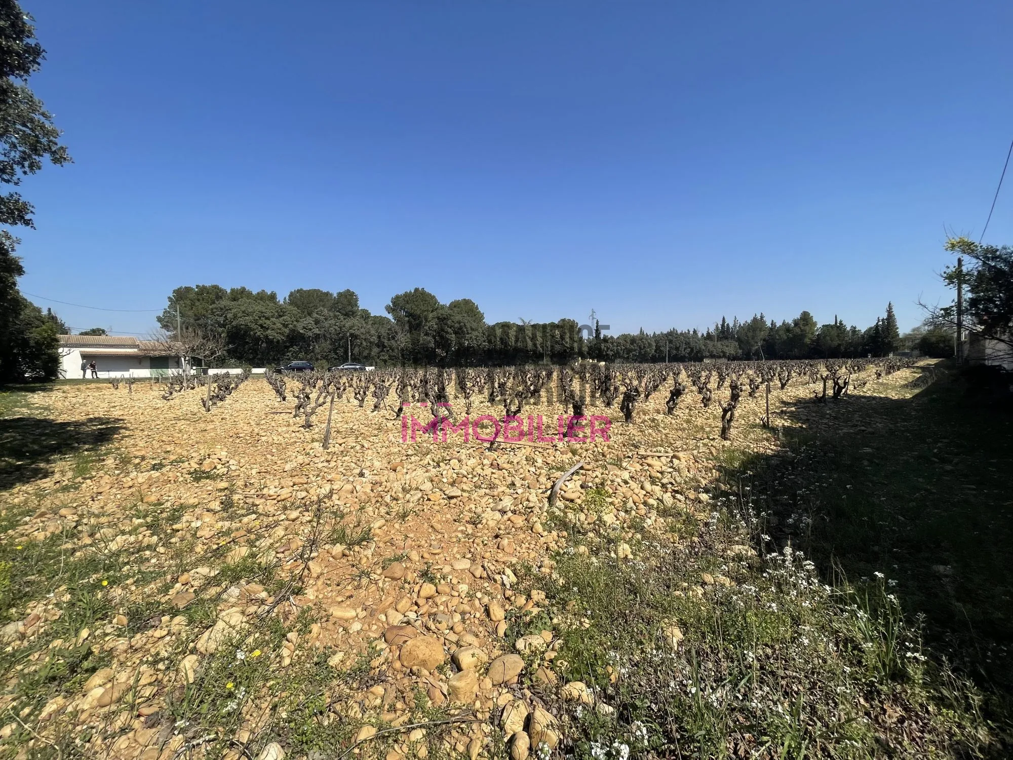 Lotissement exclusif à Sorgues - Terrains constructibles de 500 à 900 m² 