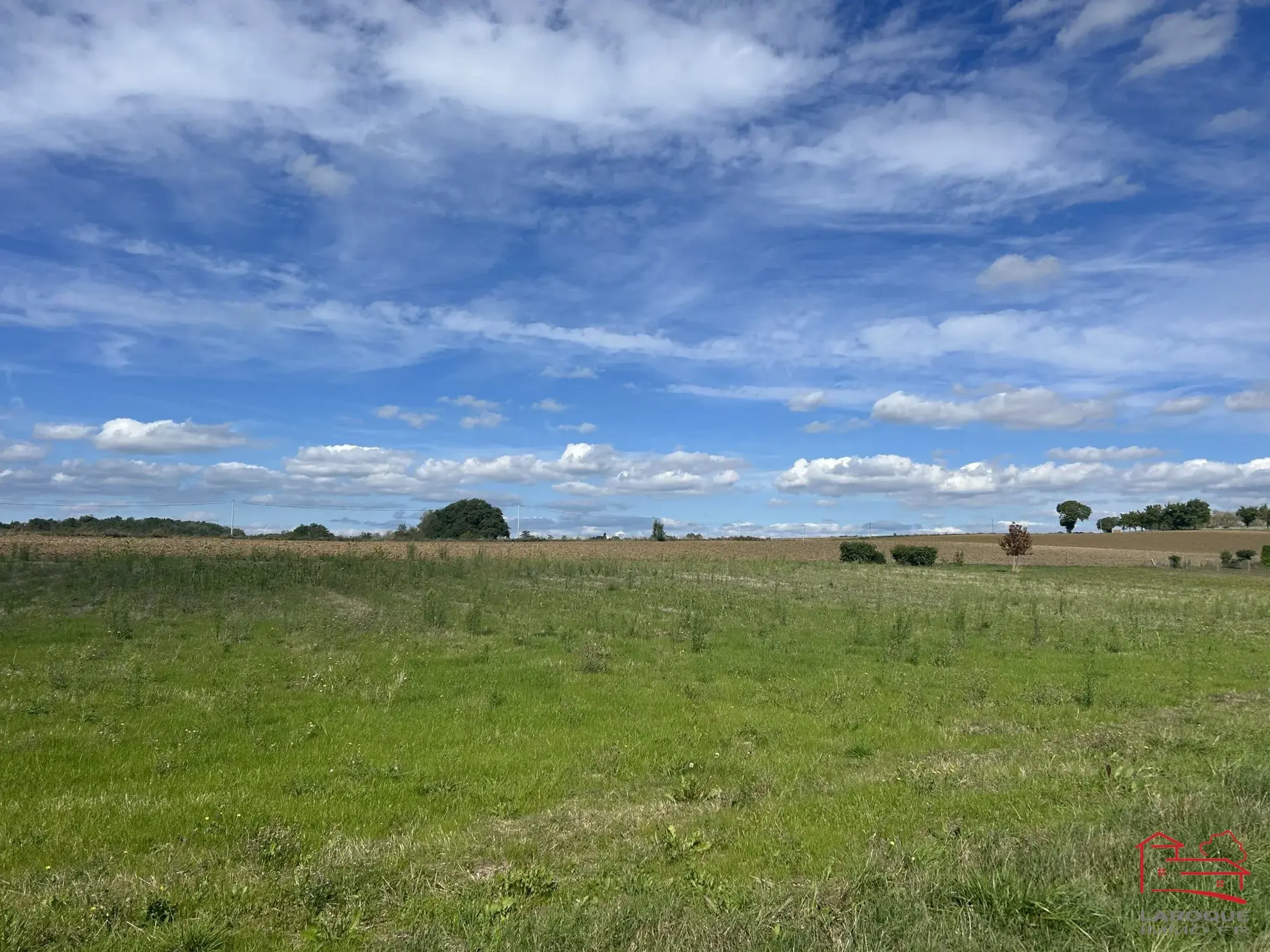 Terrain constructible de 3190 m² à Dondas, calme et viabilisé