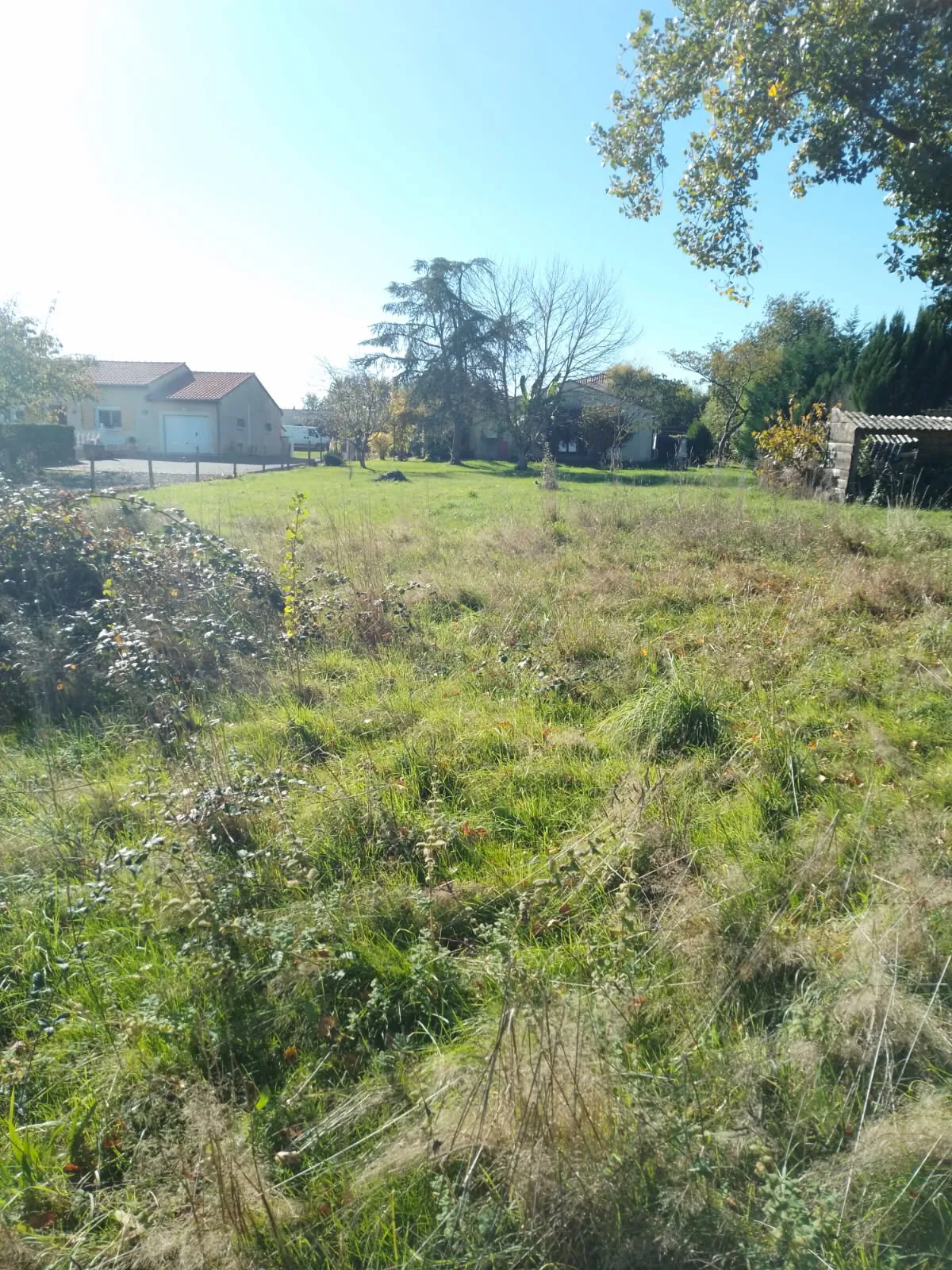 Terrain à bâtir de 1281 m² à Albi - Secteur résidentiel proche de la campagne