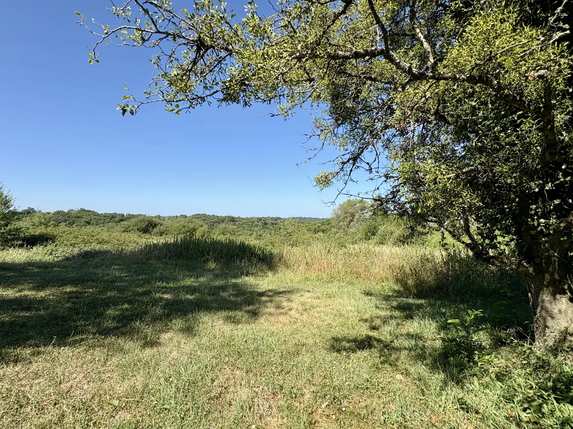 Maison en pierre avec dépendance et terrain de 7ha proche La Réole 