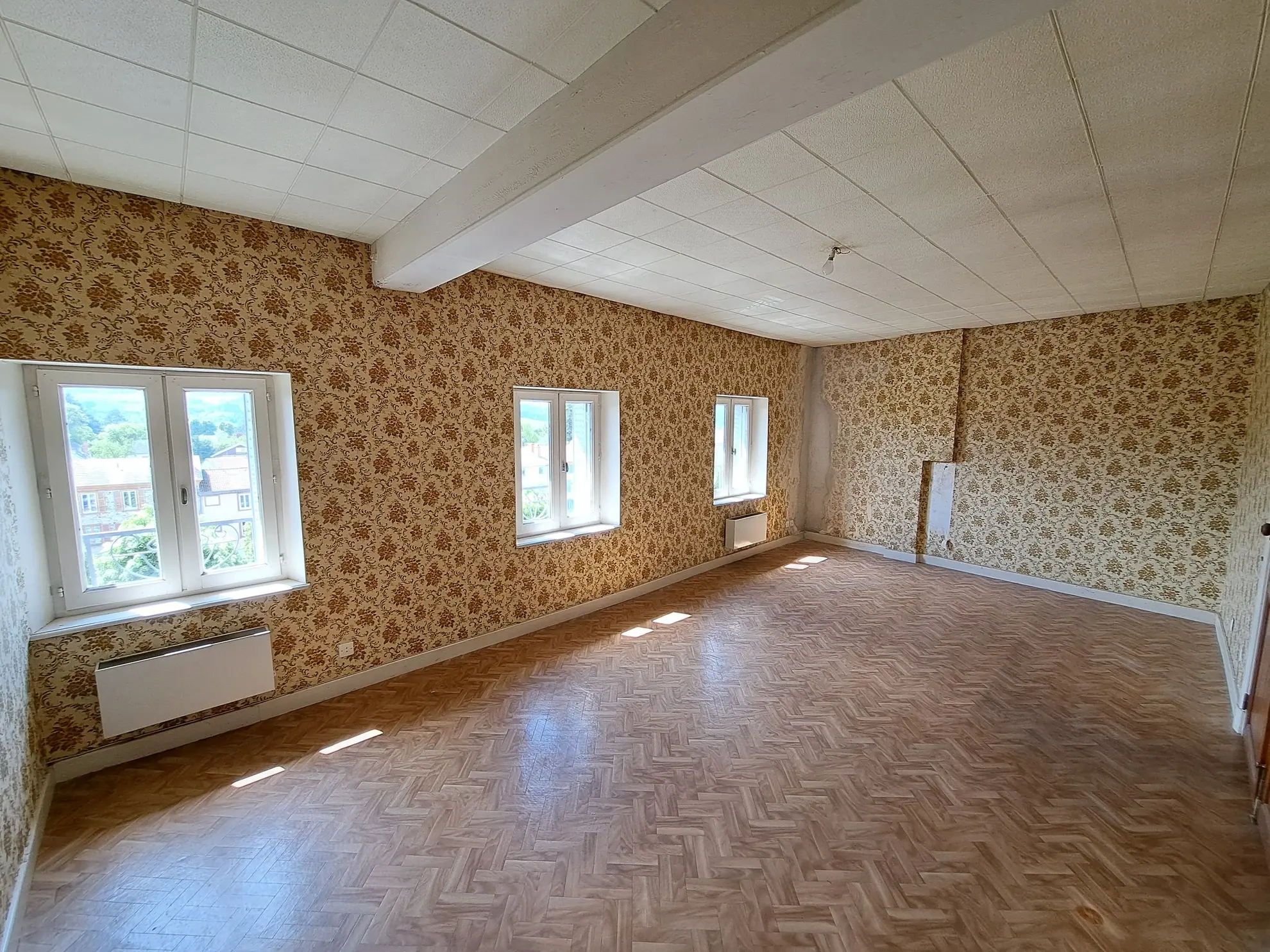 Vente appartement T4 à rénover avec jardin privé à Ambert